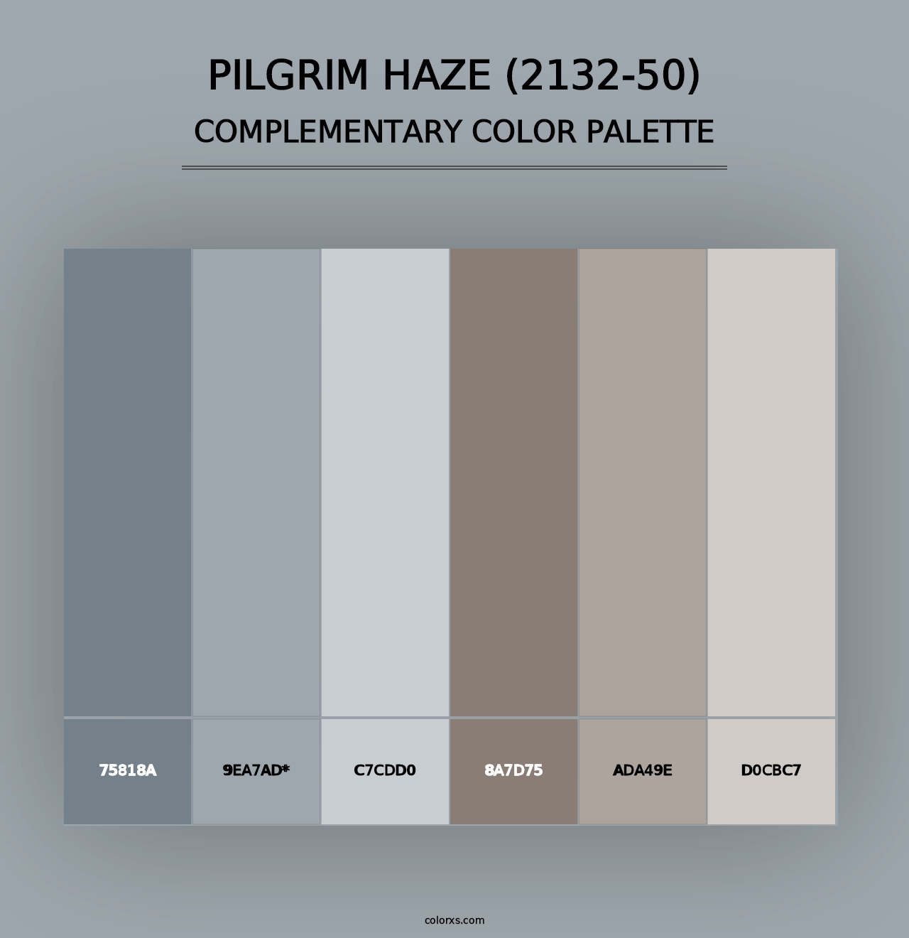 Pilgrim Haze (2132-50) - Complementary Color Palette