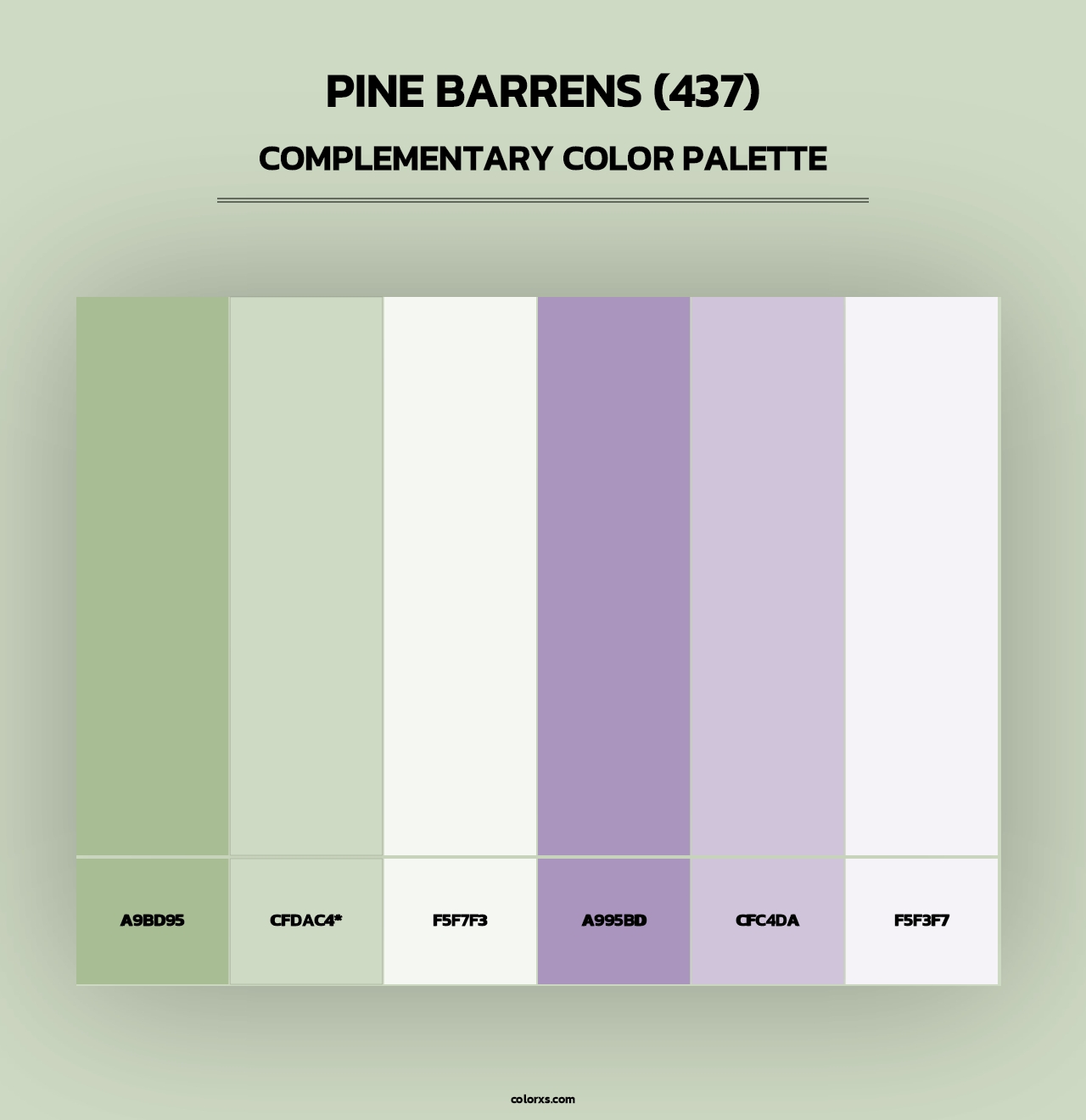 Pine Barrens (437) - Complementary Color Palette