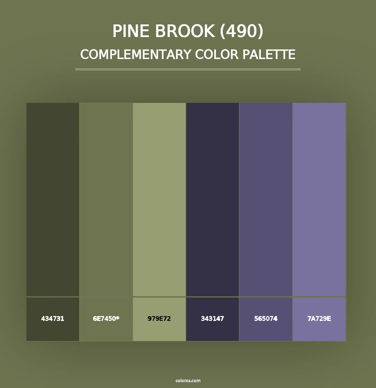 Pine Brook (490) - Complementary Color Palette