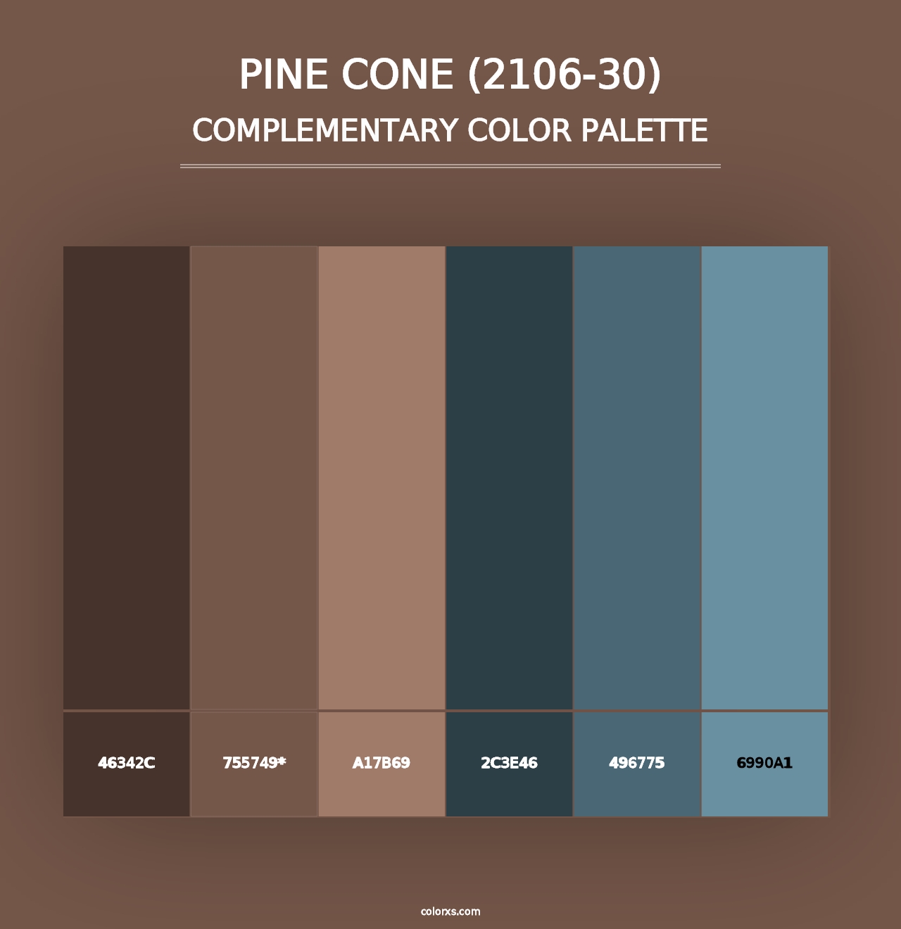 Pine Cone (2106-30) - Complementary Color Palette