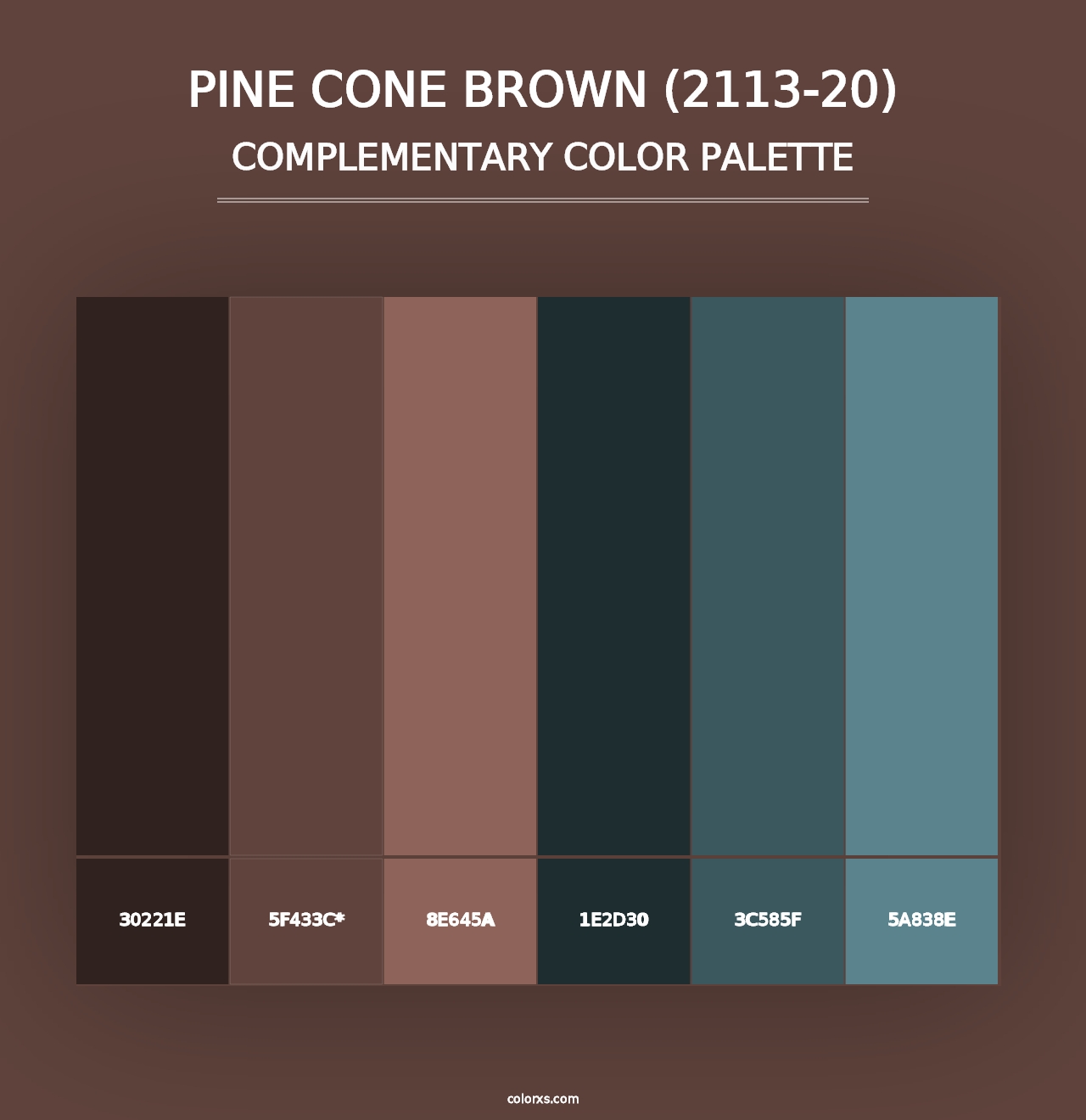 Pine Cone Brown (2113-20) - Complementary Color Palette