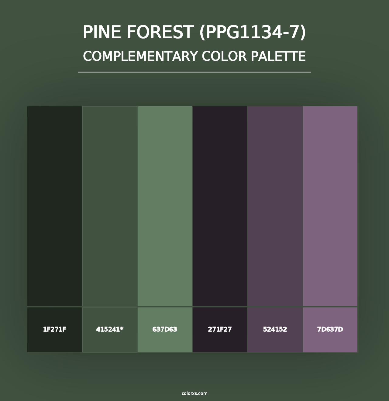 Pine Forest (PPG1134-7) - Complementary Color Palette