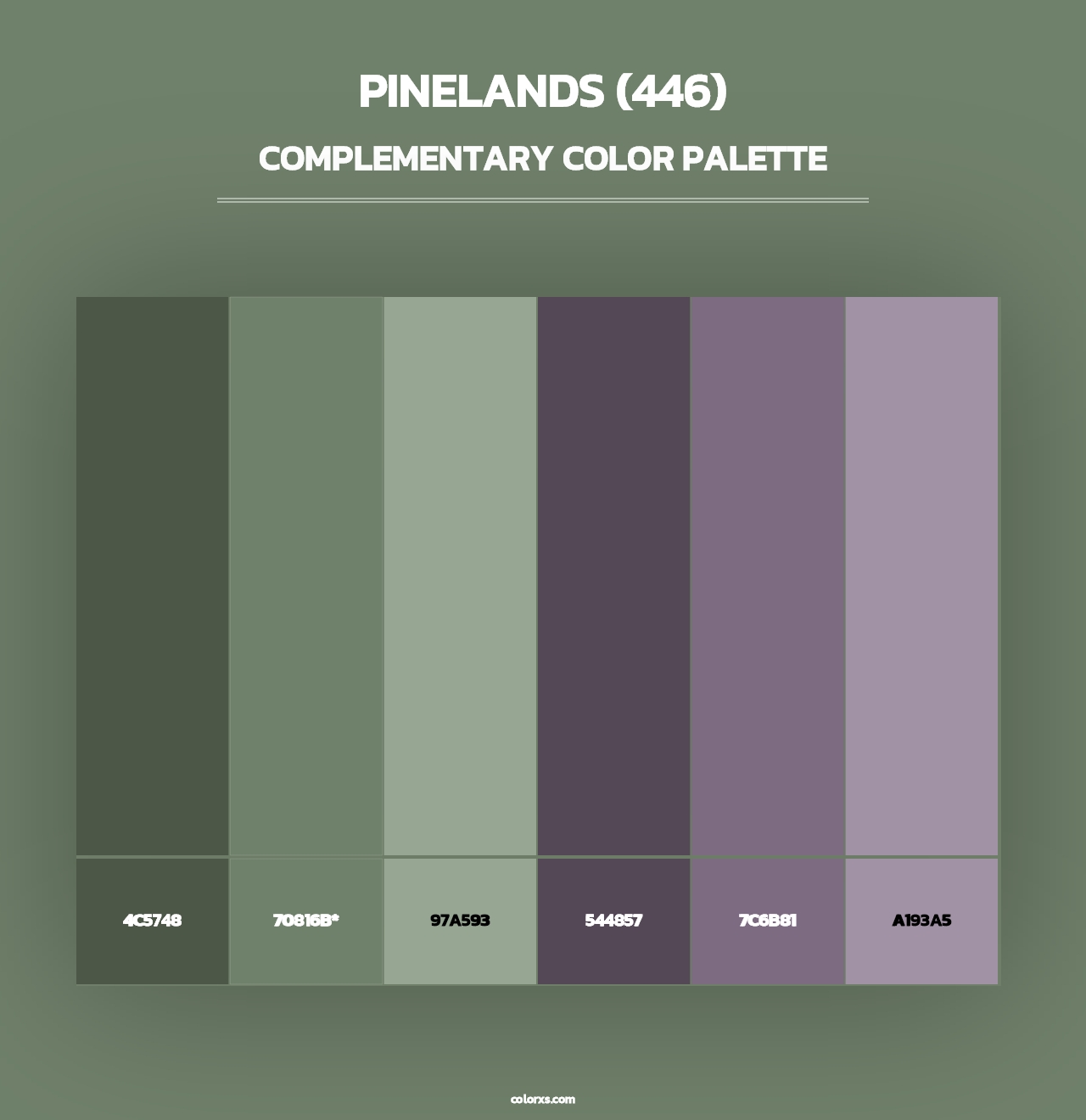 Pinelands (446) - Complementary Color Palette