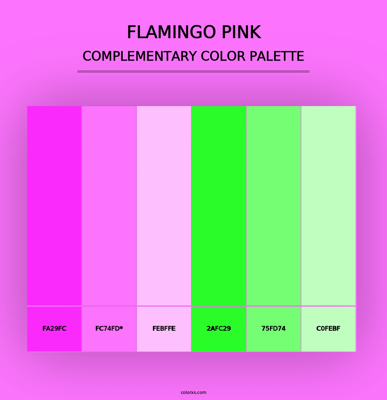 Flamingo Pink - Complementary Color Palette