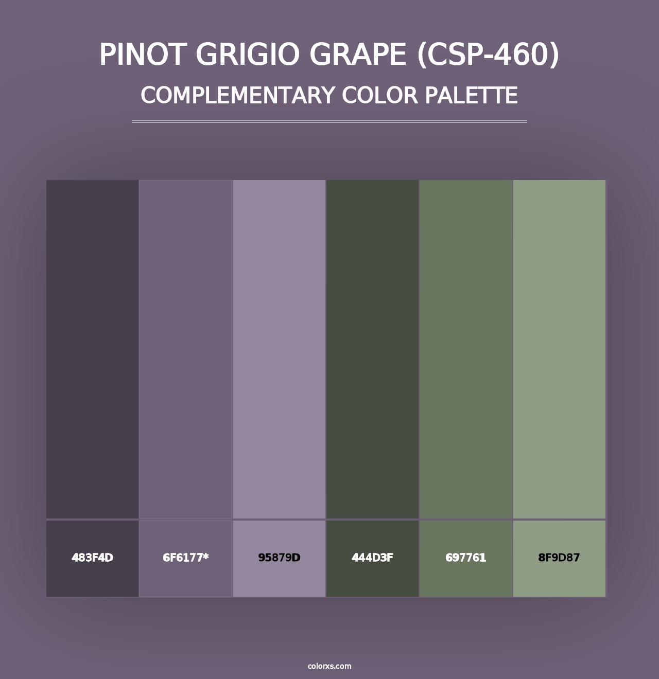 Pinot Grigio Grape (CSP-460) - Complementary Color Palette