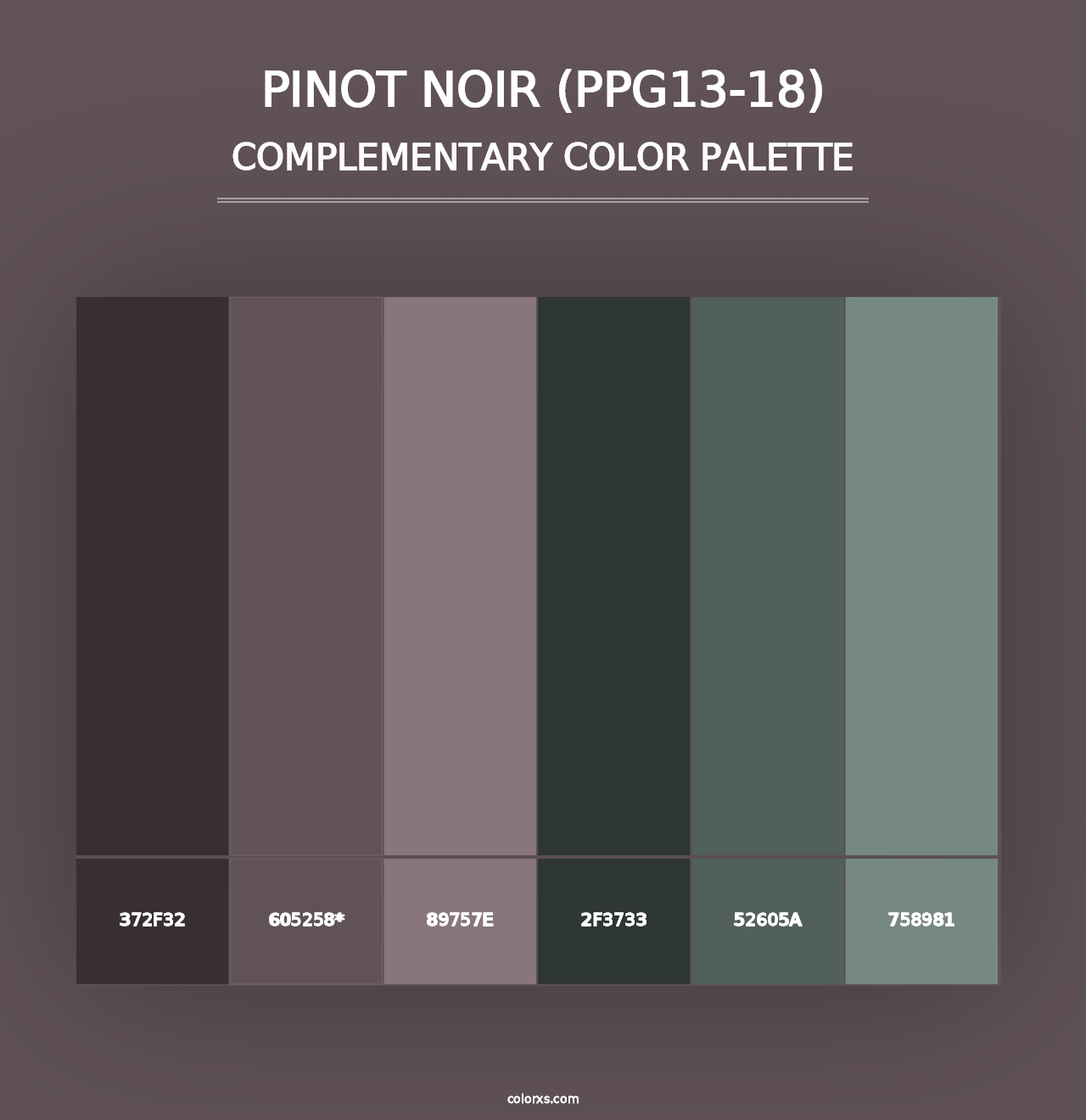 Pinot Noir (PPG13-18) - Complementary Color Palette