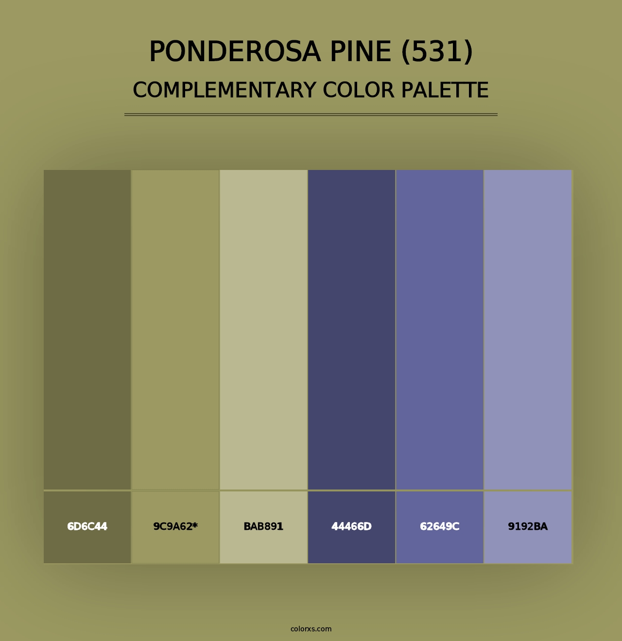 Ponderosa Pine (531) - Complementary Color Palette