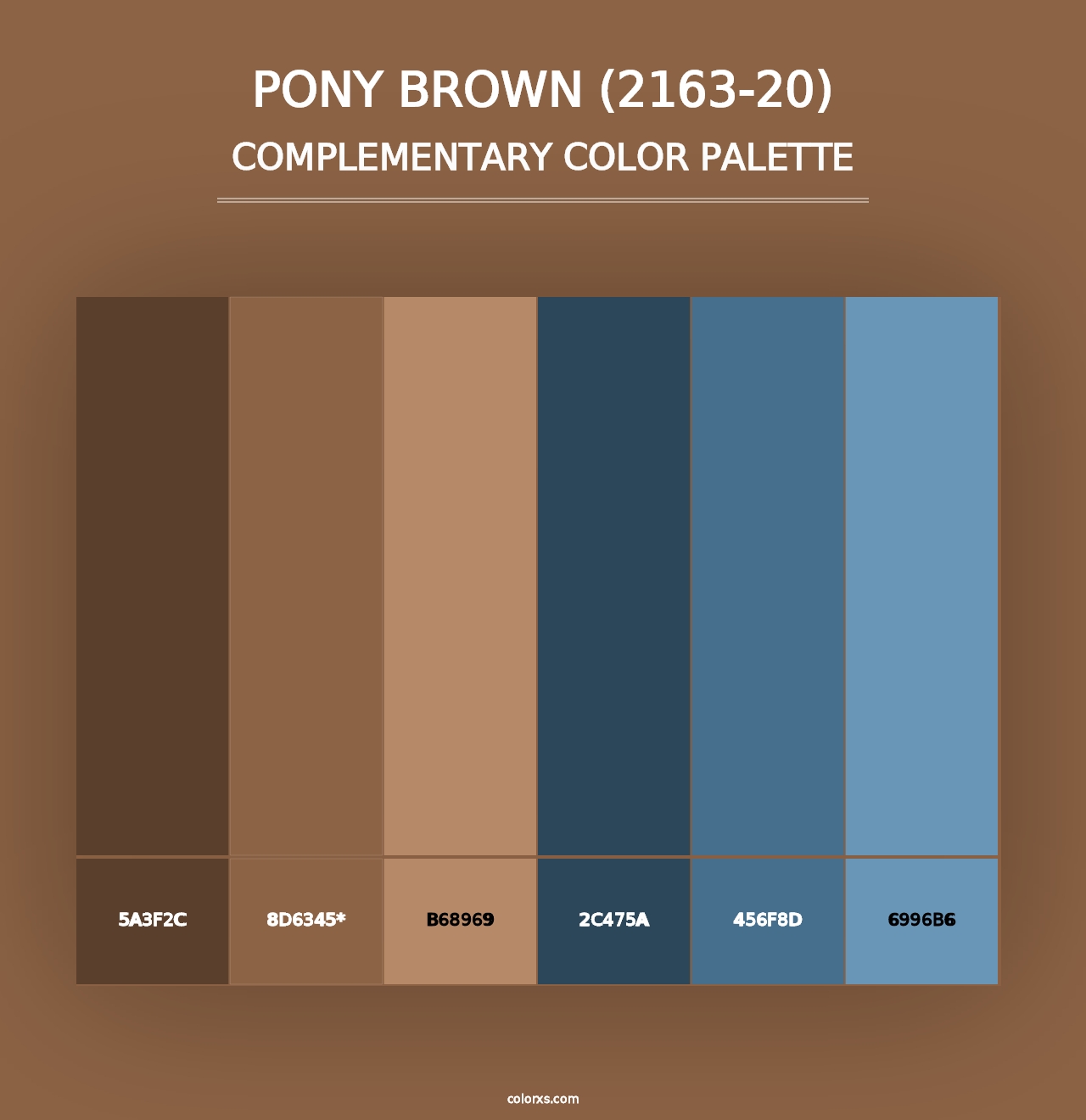 Pony Brown (2163-20) - Complementary Color Palette