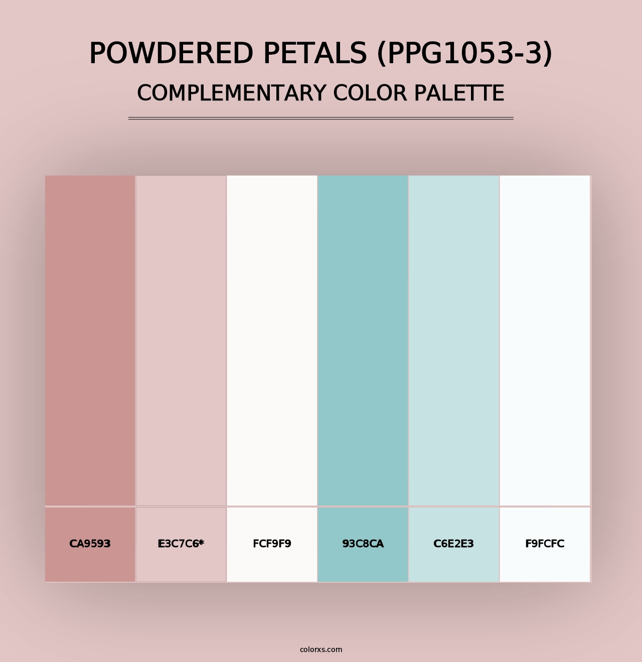 Powdered Petals (PPG1053-3) - Complementary Color Palette