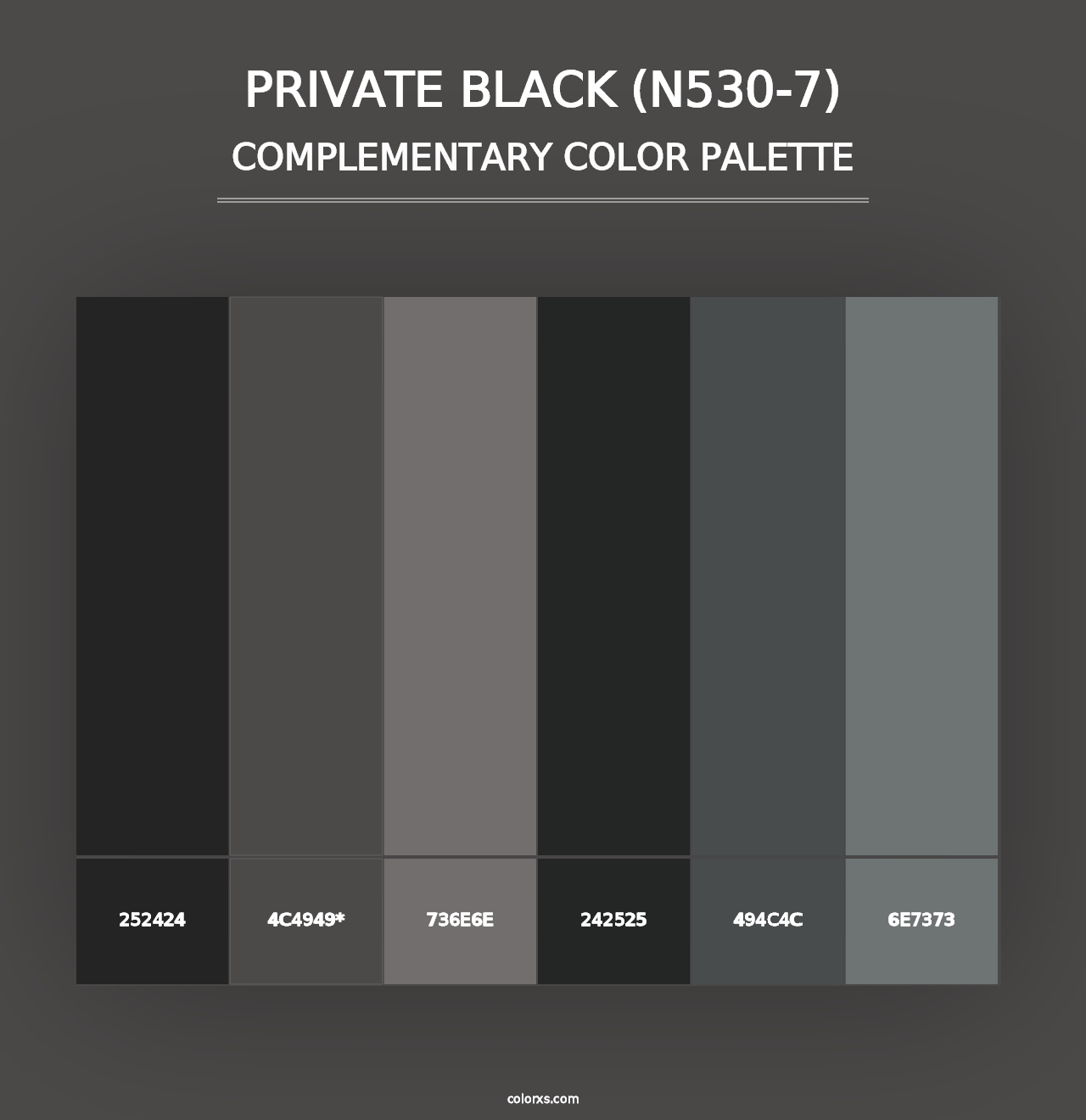 Private Black (N530-7) - Complementary Color Palette