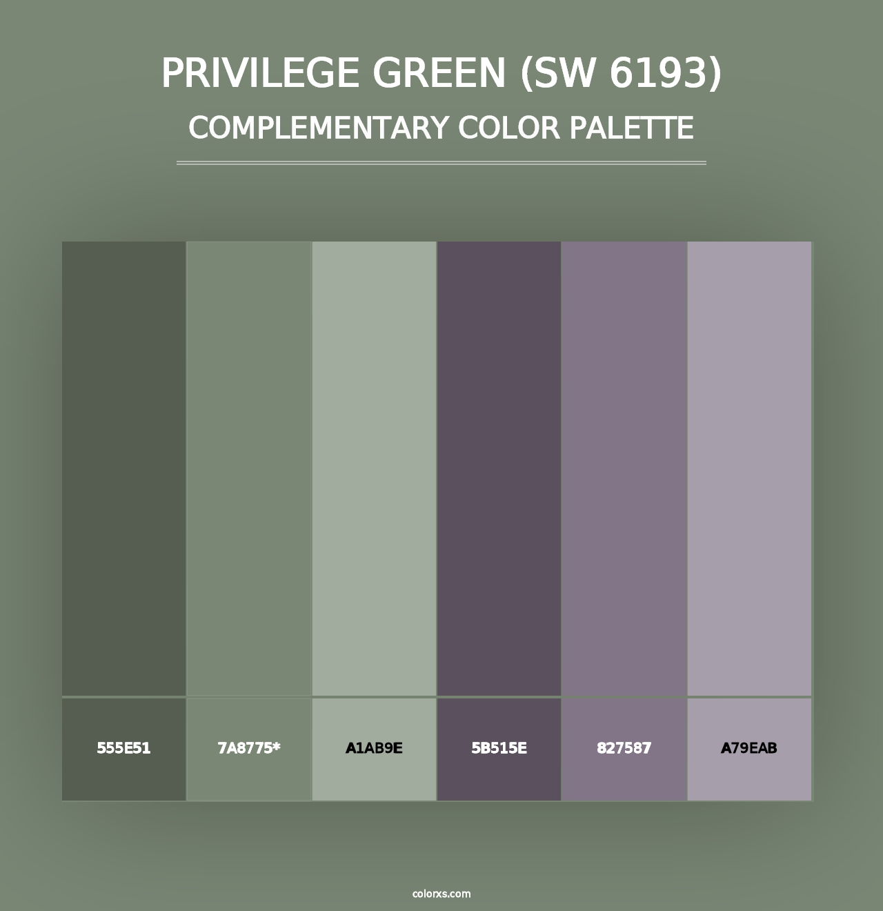 Privilege Green (SW 6193) - Complementary Color Palette