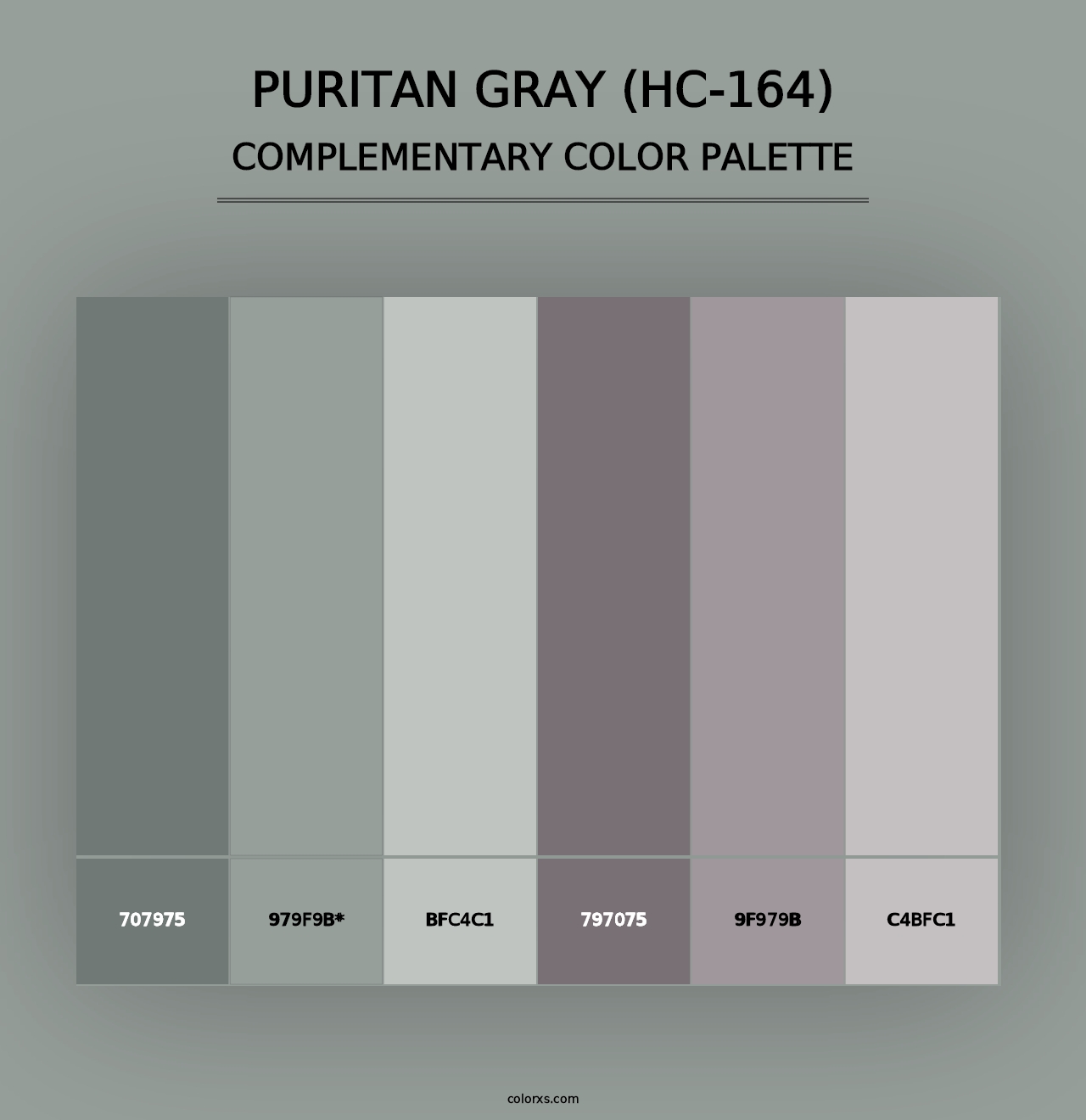 Puritan Gray (HC-164) - Complementary Color Palette