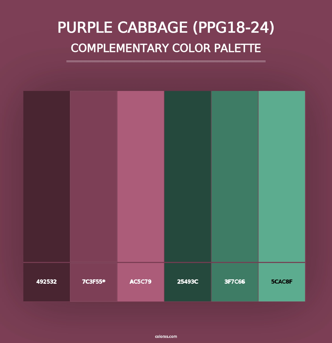 Purple Cabbage (PPG18-24) - Complementary Color Palette