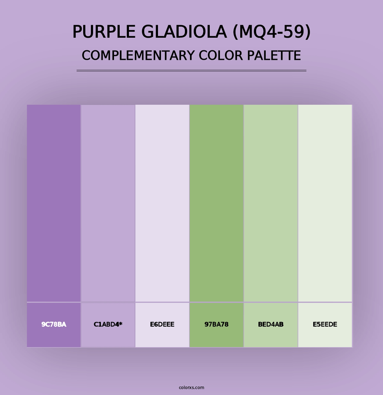 Purple Gladiola (MQ4-59) - Complementary Color Palette