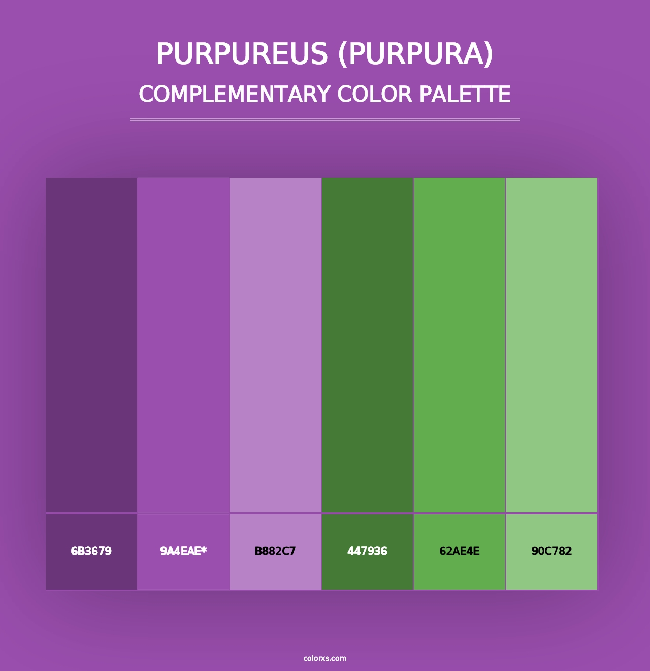 Purpureus (Purpura) - Complementary Color Palette