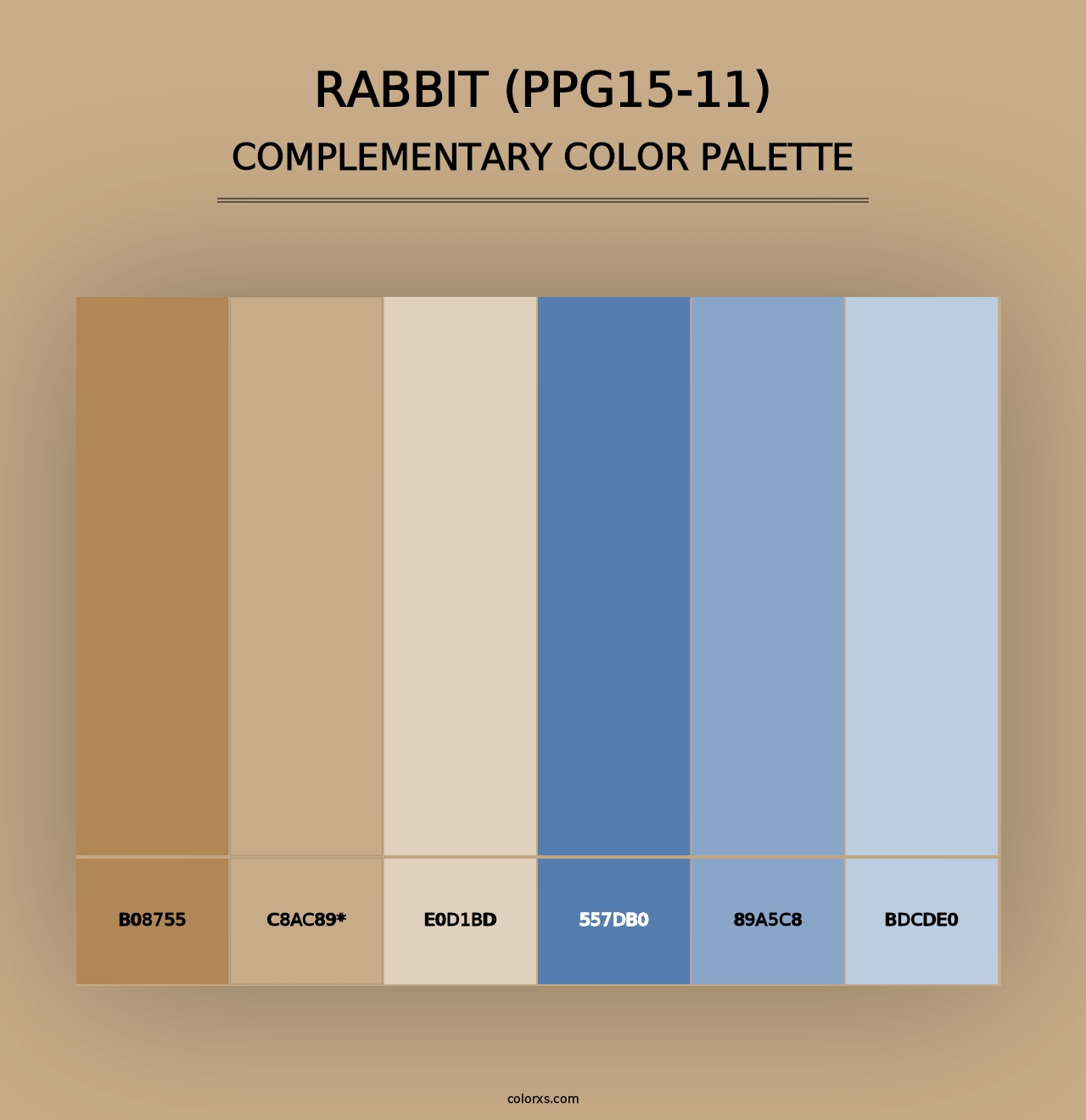 Rabbit (PPG15-11) - Complementary Color Palette