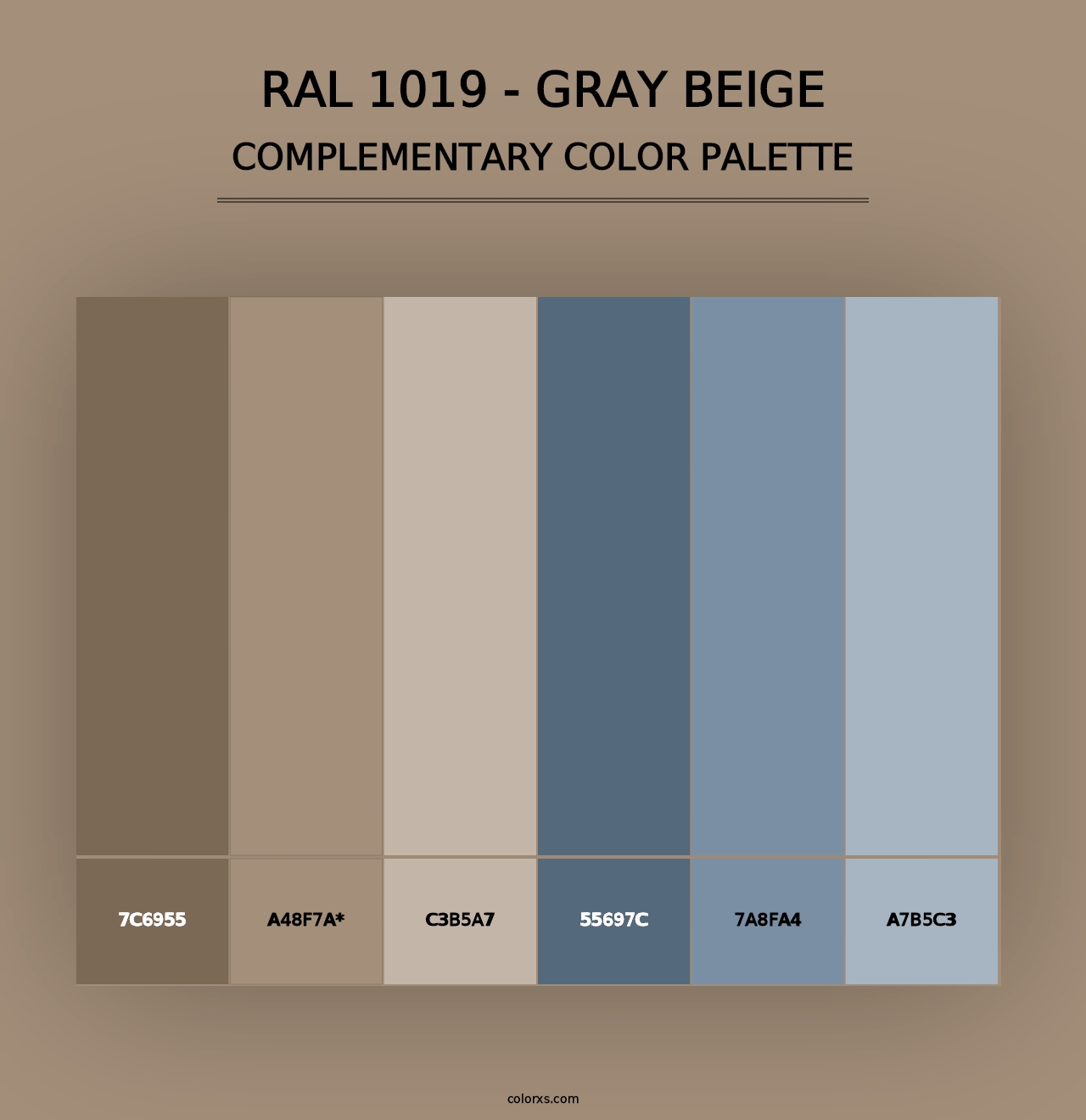 RAL 1019 - Gray Beige - Complementary Color Palette