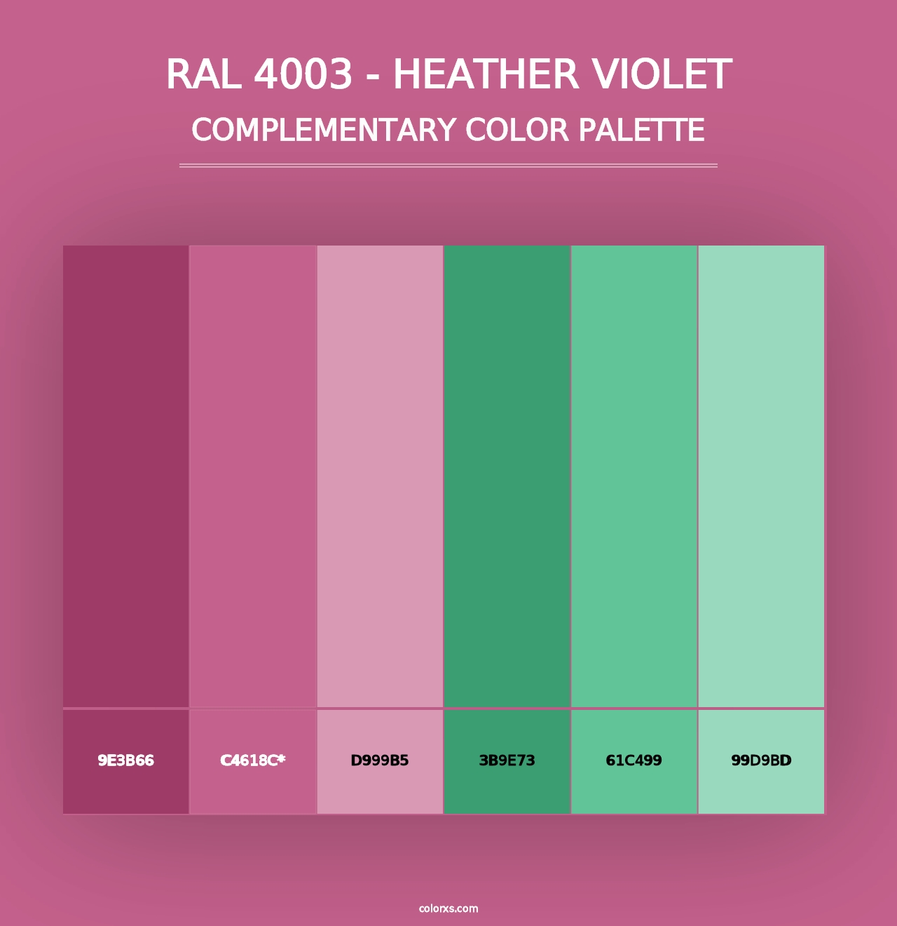 RAL 4003 - Heather Violet - Complementary Color Palette