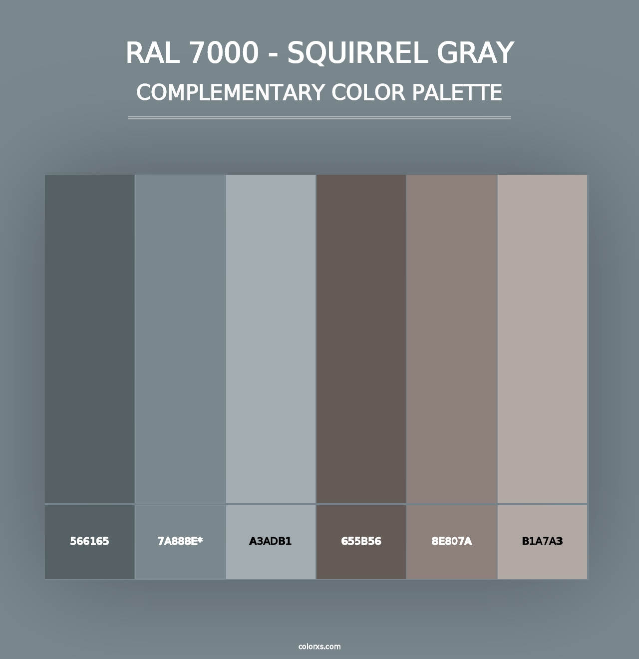 RAL 7000 - Squirrel Gray - Complementary Color Palette