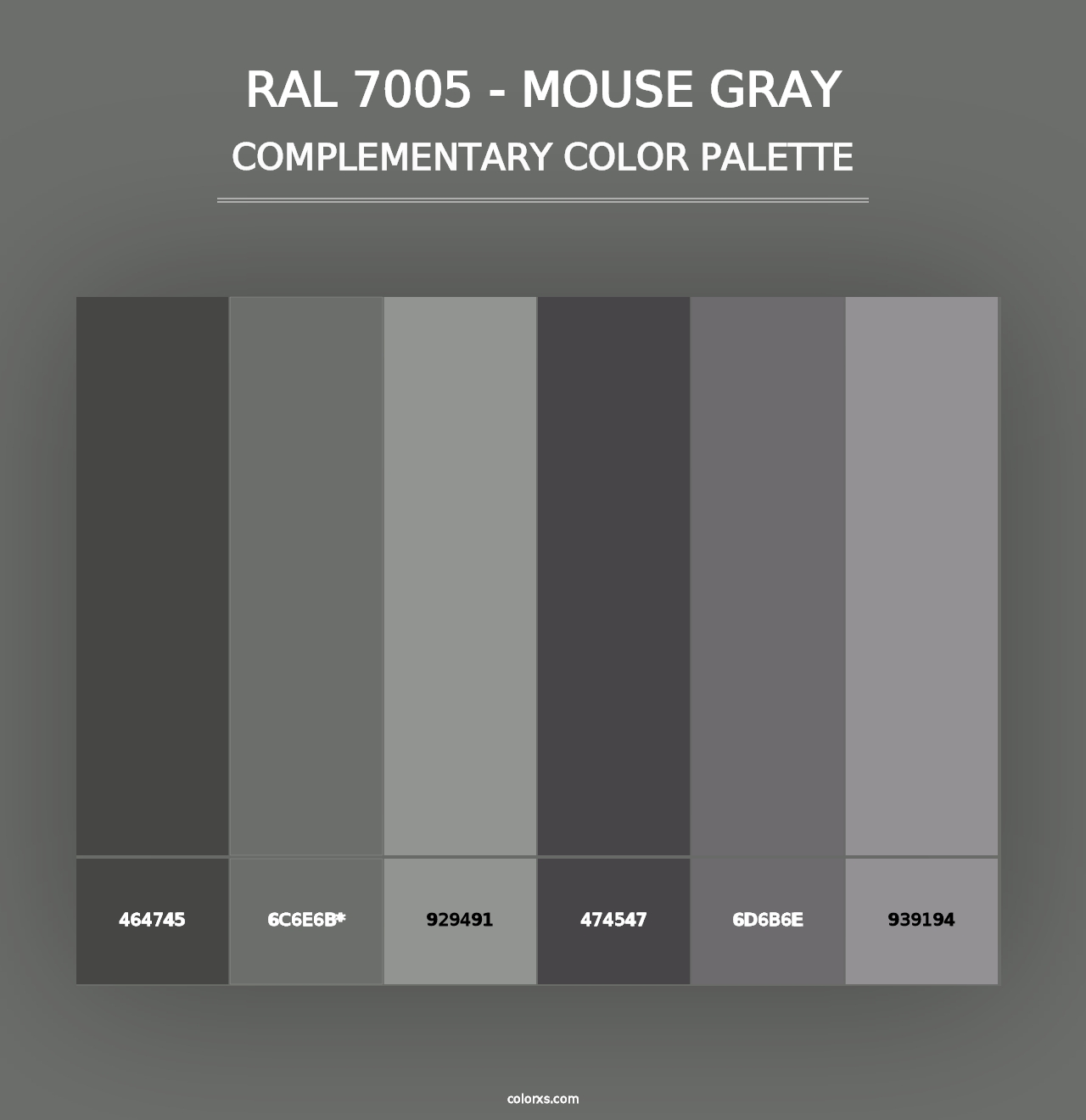 RAL 7005 - Mouse Gray - Complementary Color Palette