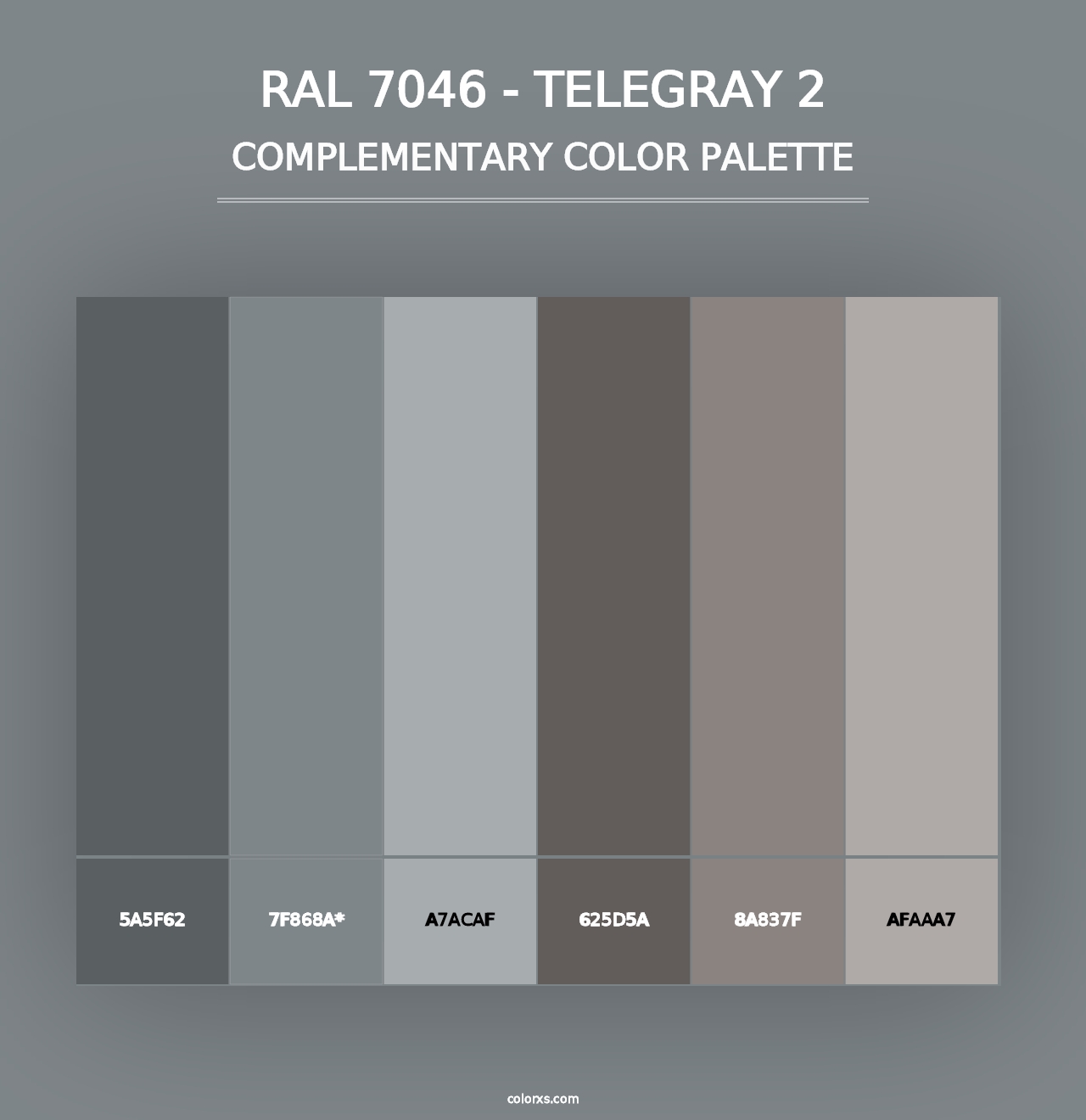 RAL 7046 - Telegray 2 - Complementary Color Palette