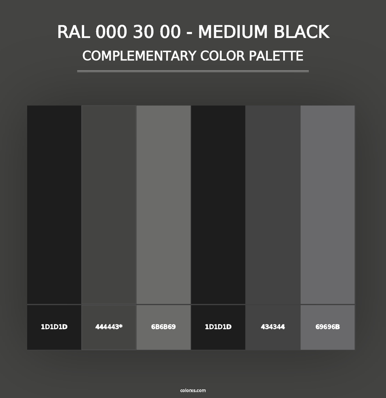 RAL 000 30 00 - Medium Black - Complementary Color Palette