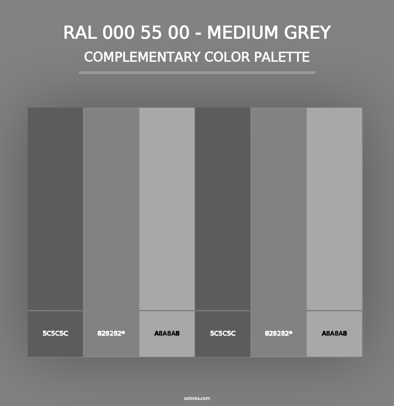 RAL 000 55 00 - Medium Grey - Complementary Color Palette