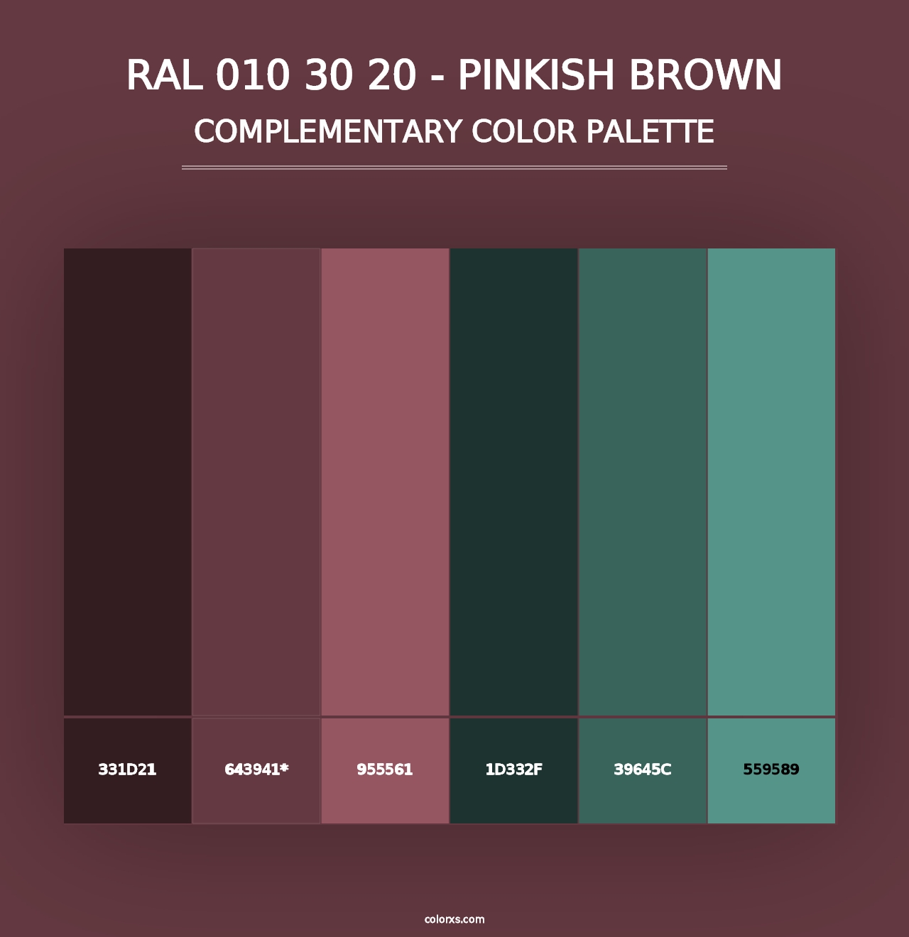 RAL 010 30 20 - Pinkish Brown - Complementary Color Palette