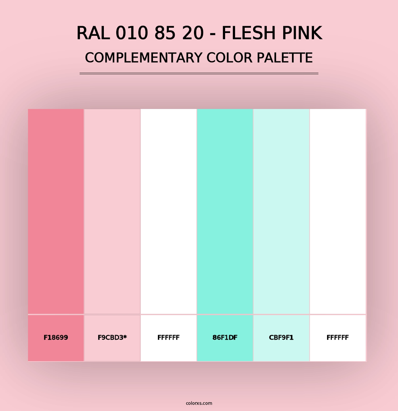 RAL 010 85 20 - Flesh Pink - Complementary Color Palette