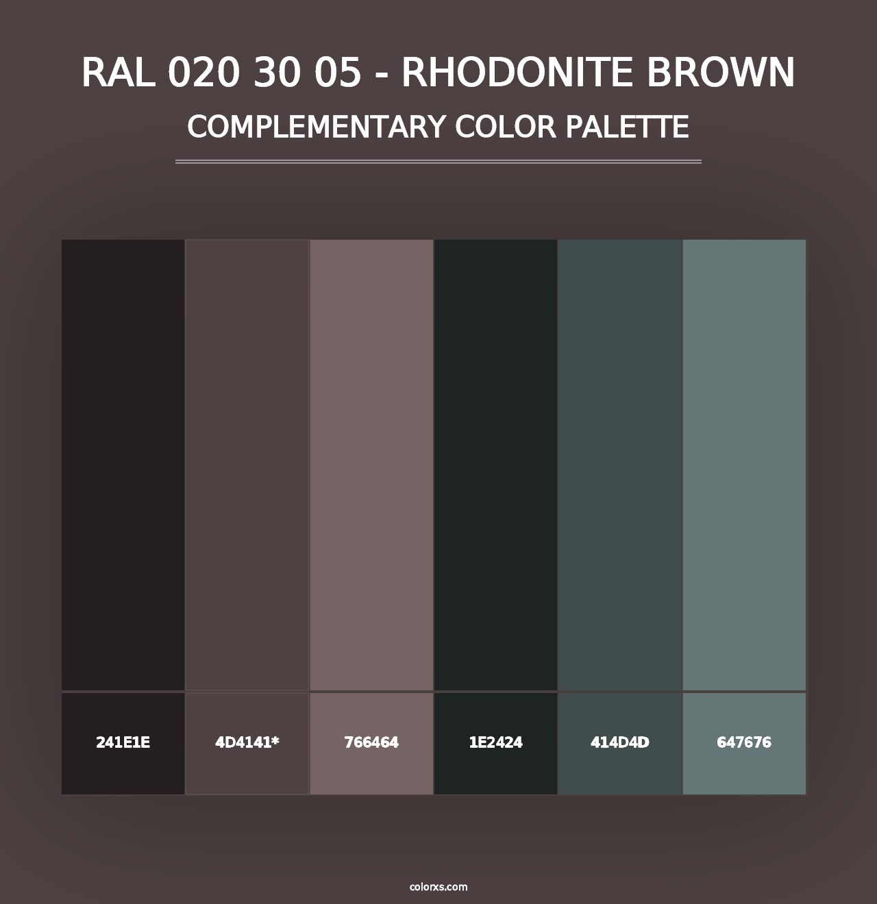 RAL 020 30 05 - Rhodonite Brown - Complementary Color Palette