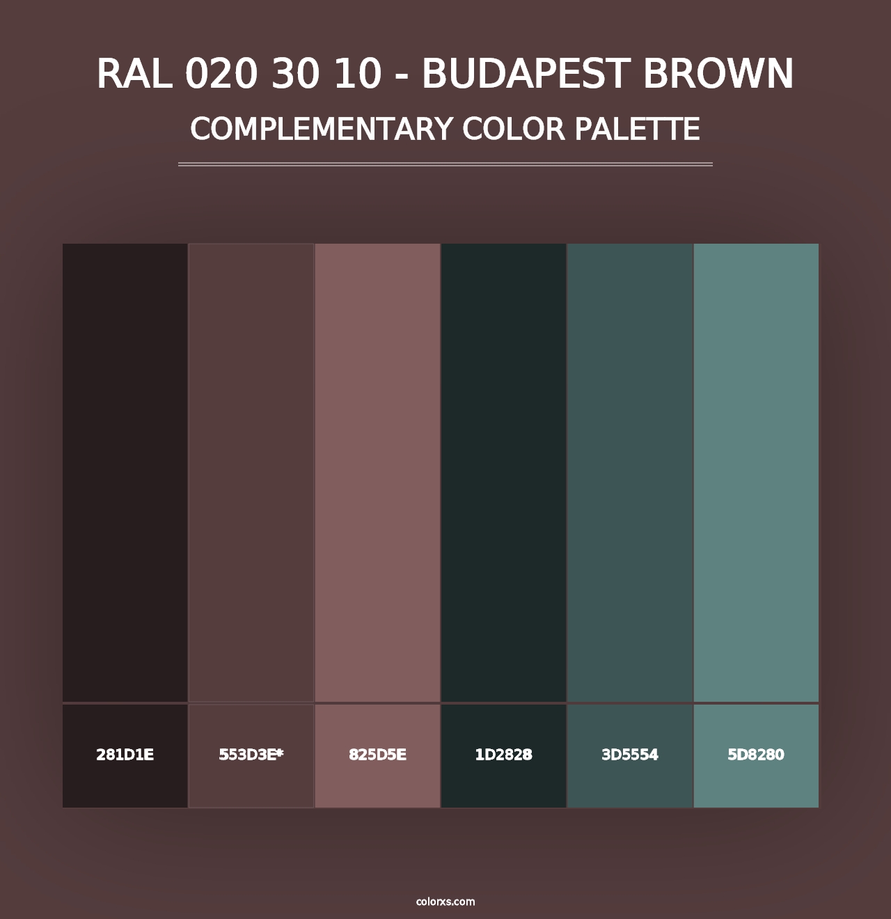 RAL 020 30 10 - Budapest Brown - Complementary Color Palette