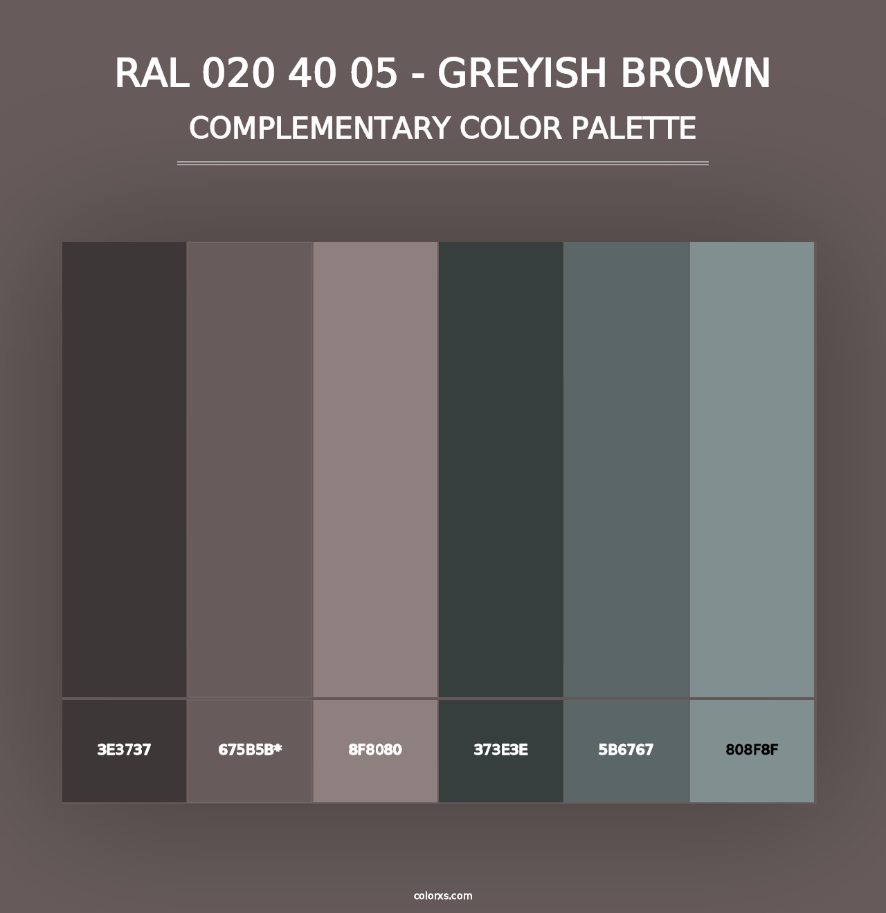 RAL 020 40 05 - Greyish Brown - Complementary Color Palette