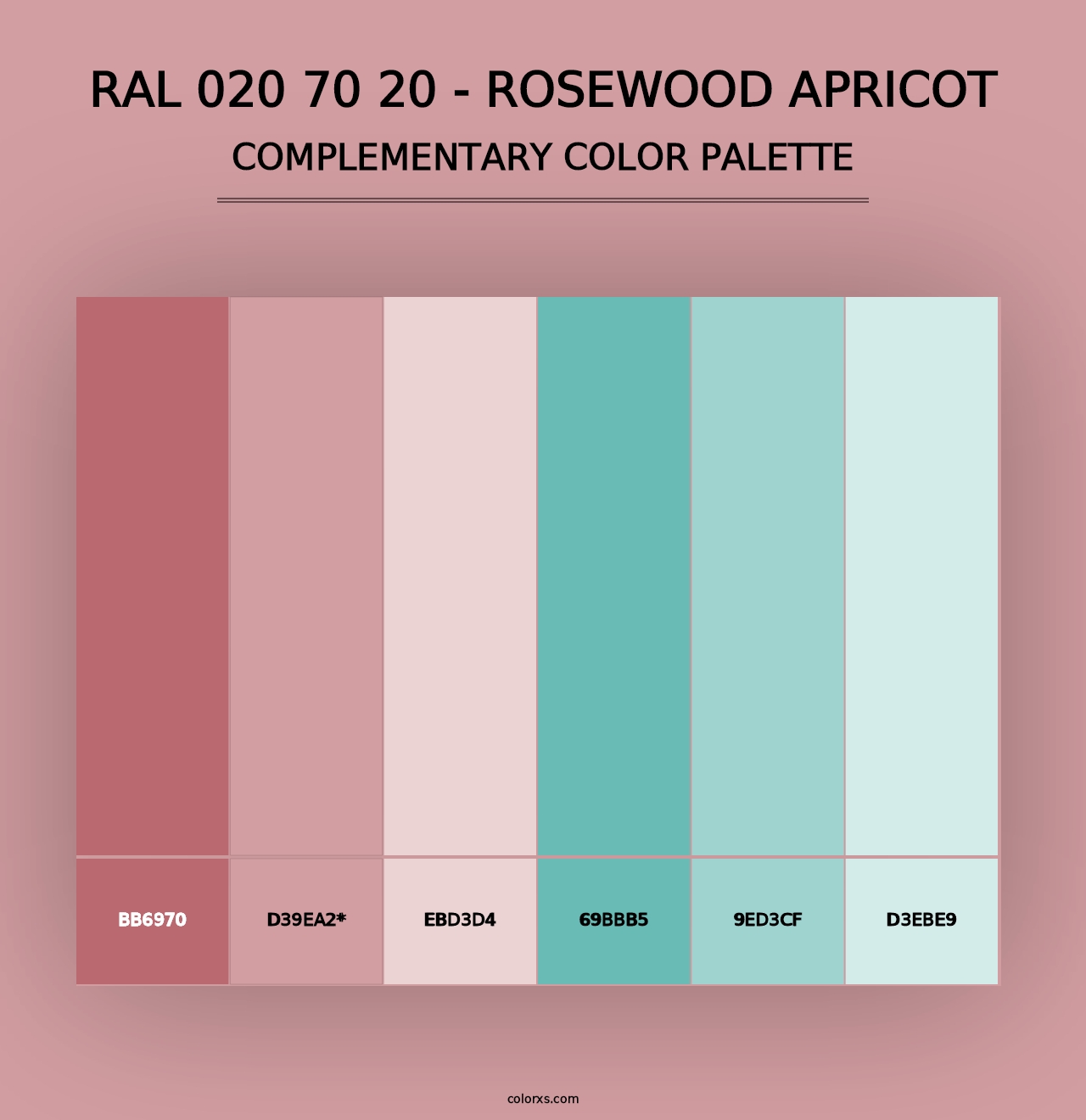 RAL 020 70 20 - Rosewood Apricot - Complementary Color Palette