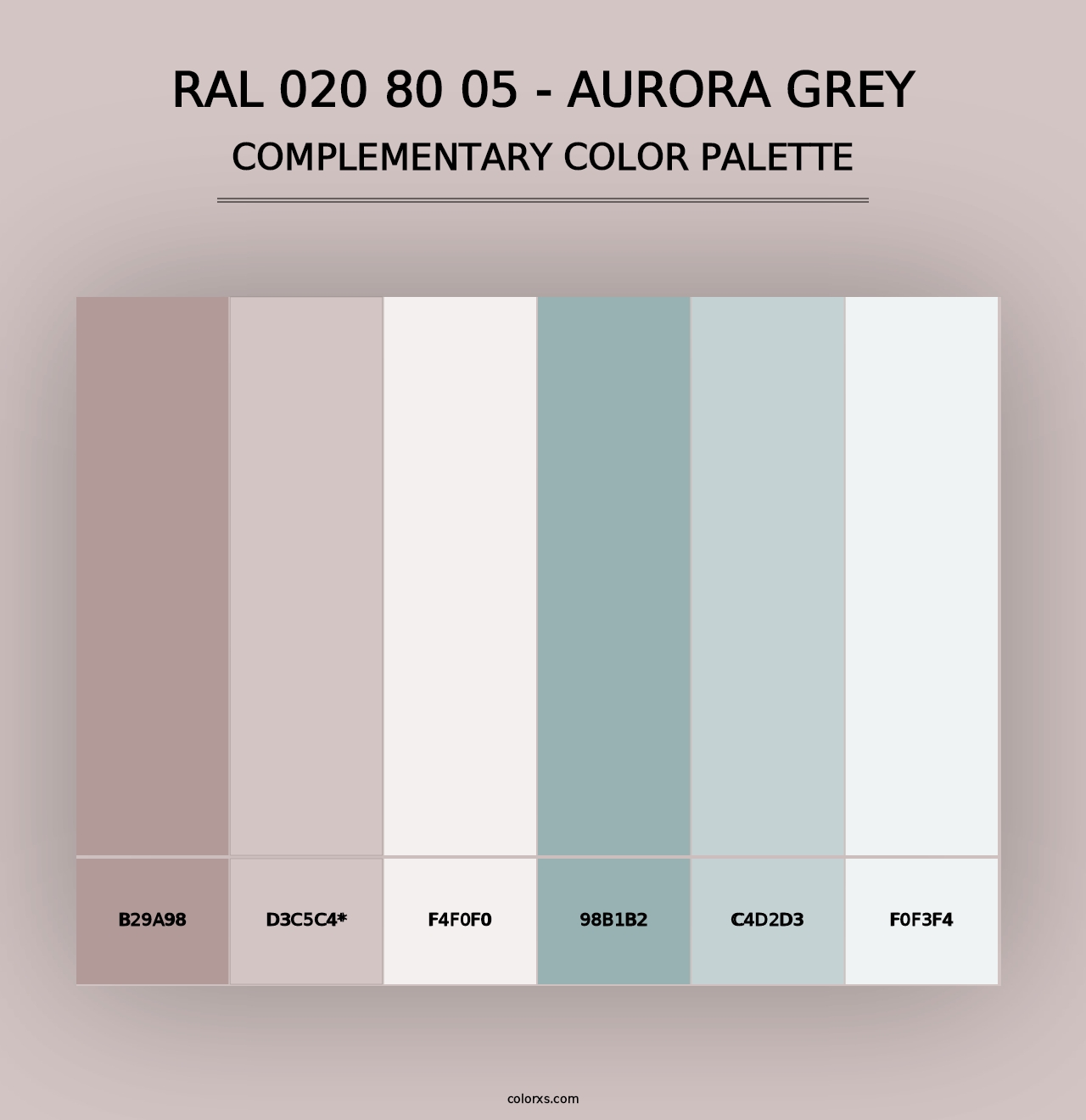 RAL 020 80 05 - Aurora Grey - Complementary Color Palette