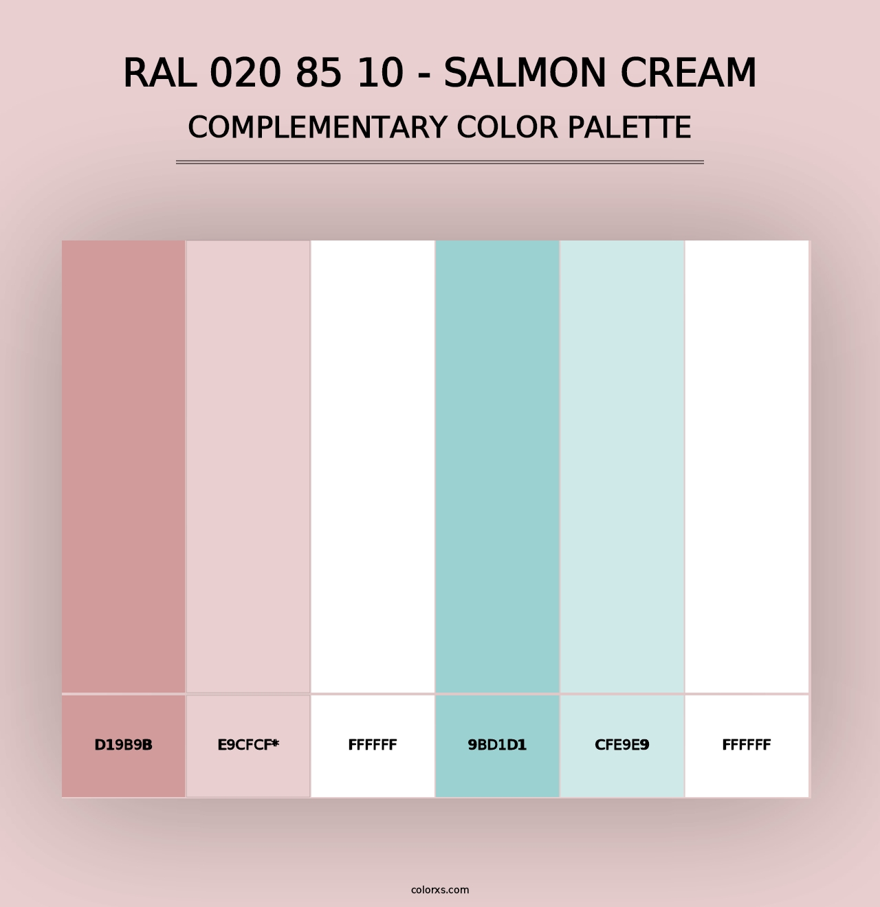 RAL 020 85 10 - Salmon Cream - Complementary Color Palette