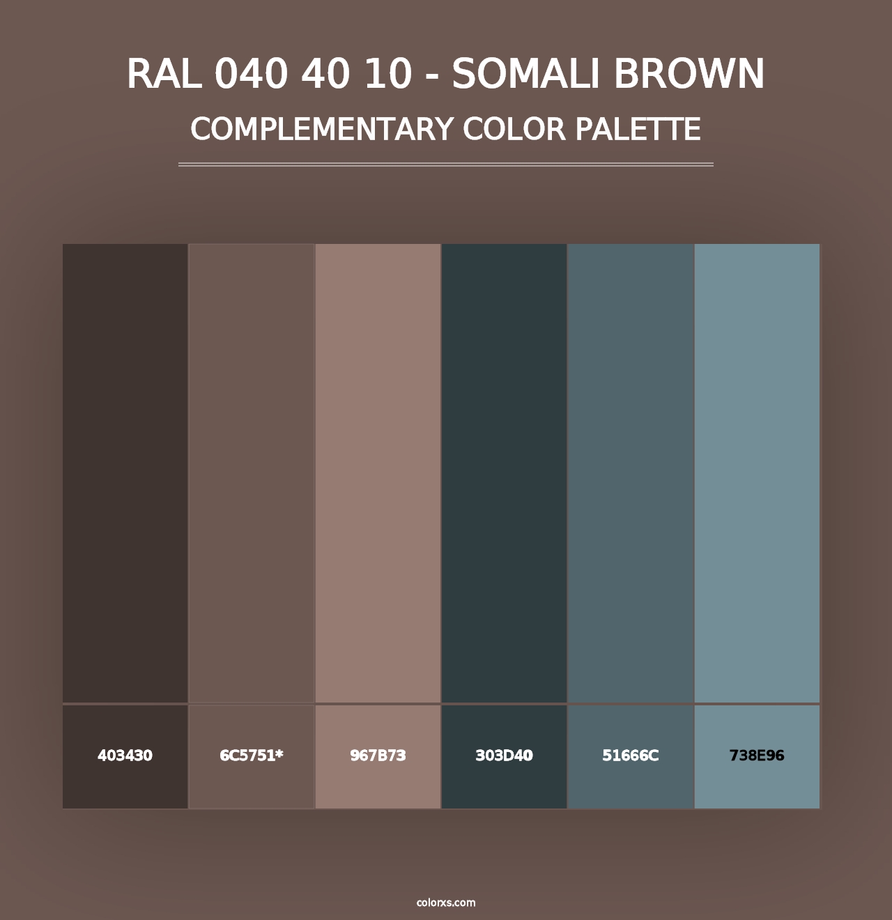 RAL 040 40 10 - Somali Brown - Complementary Color Palette