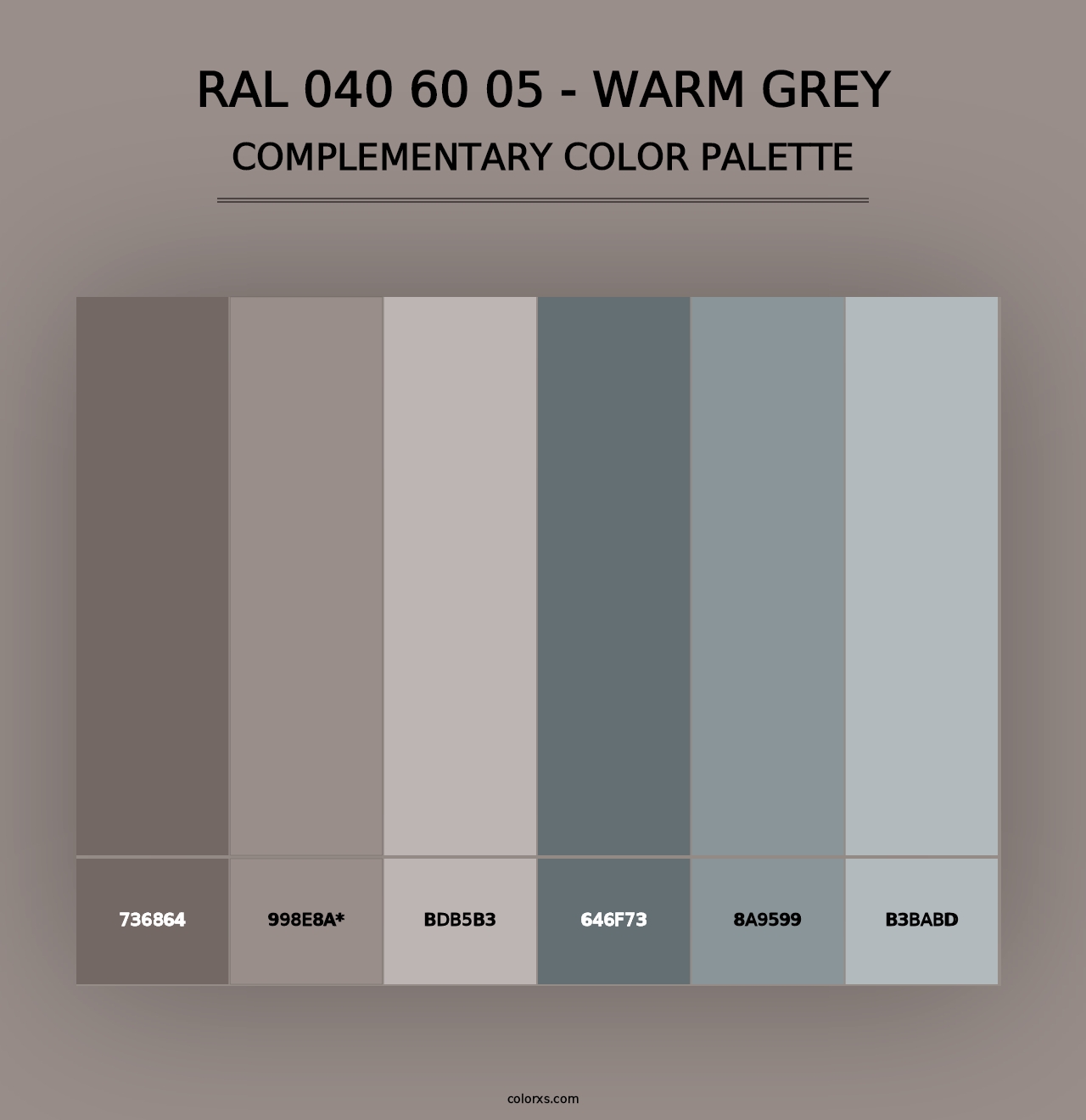 RAL 040 60 05 - Warm Grey - Complementary Color Palette