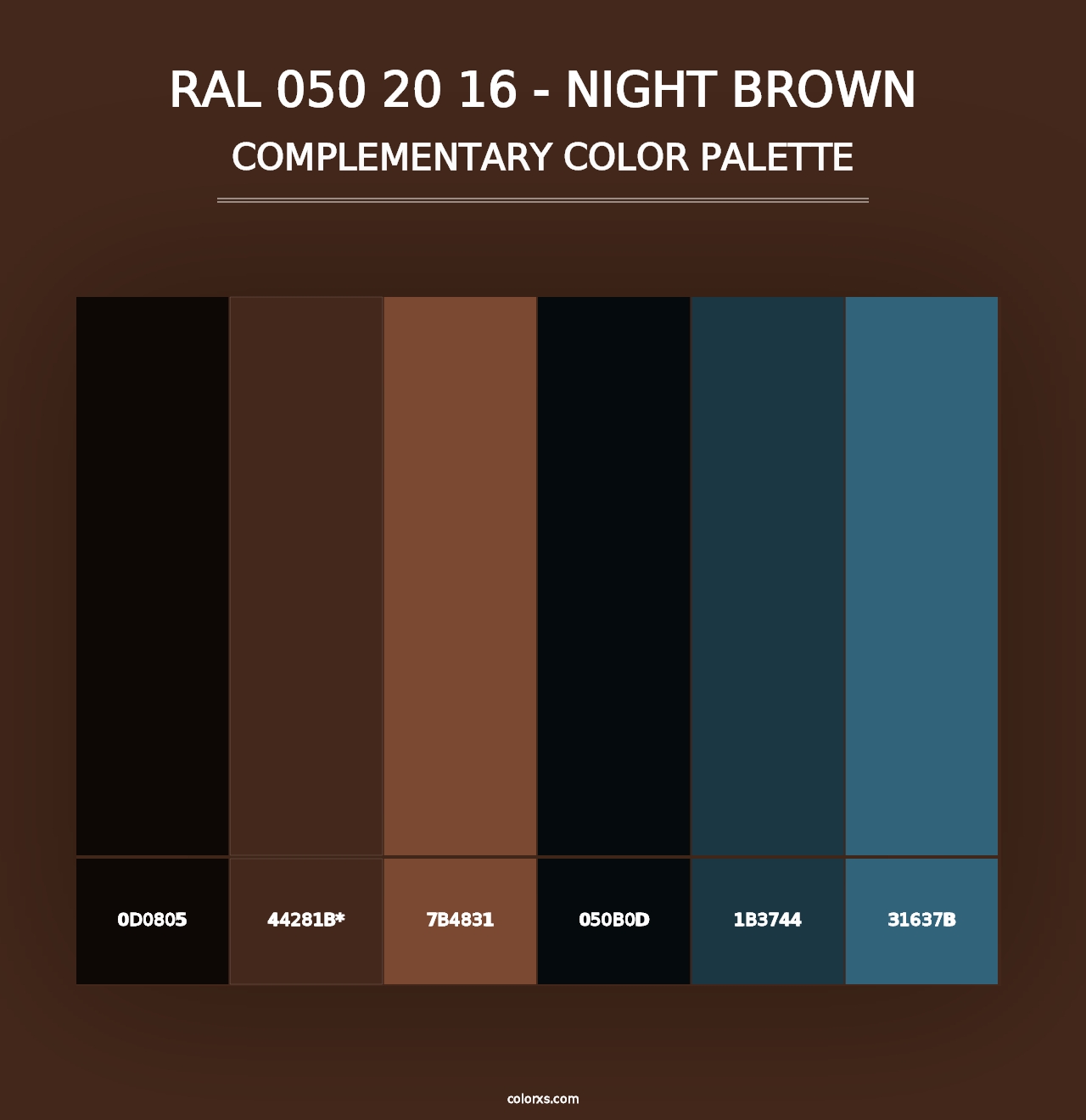 RAL 050 20 16 - Night Brown - Complementary Color Palette