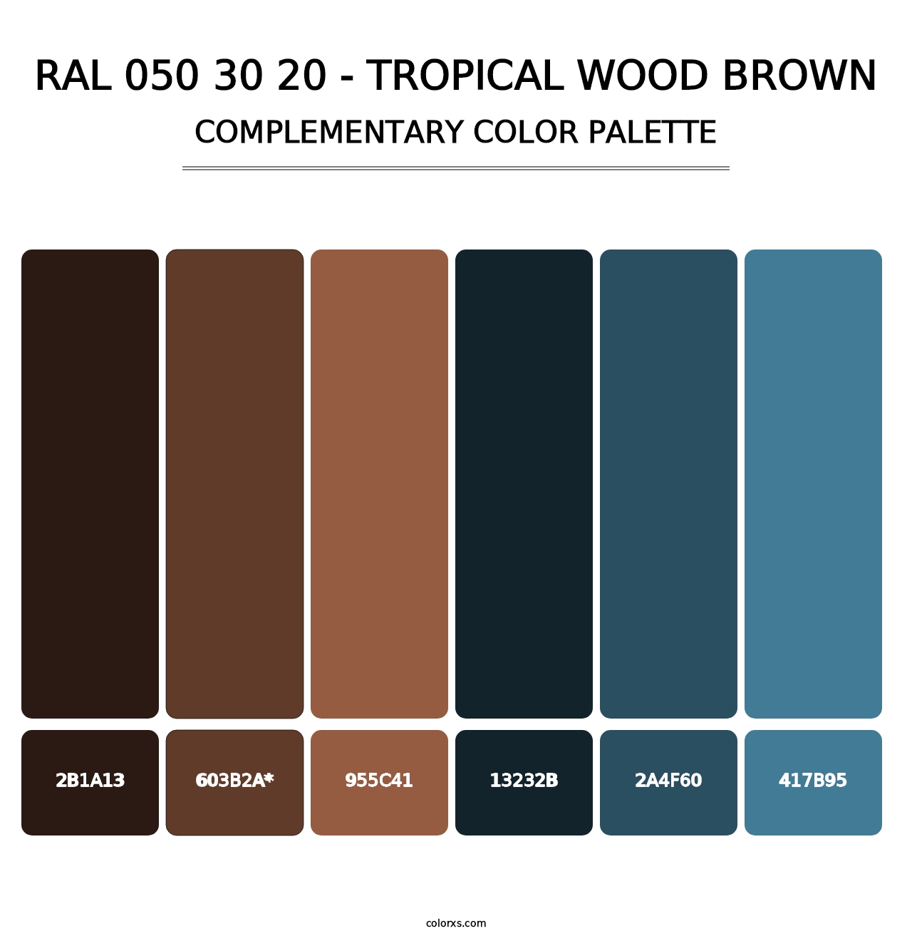 RAL 050 30 20 - Tropical Wood Brown - Complementary Color Palette