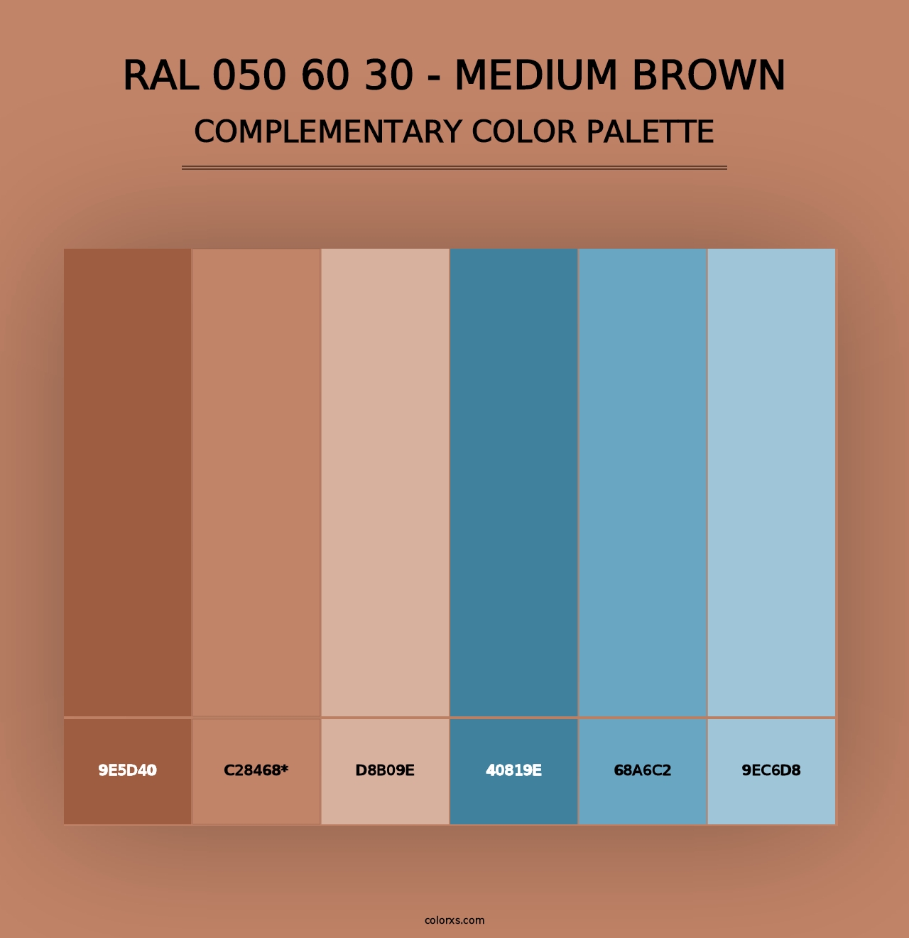 RAL 050 60 30 - Medium Brown - Complementary Color Palette