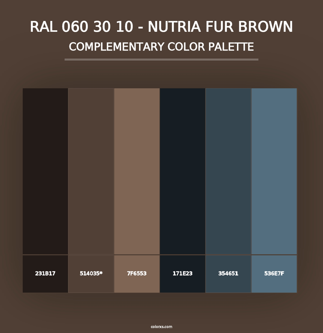 RAL 060 30 10 - Nutria Fur Brown - Complementary Color Palette