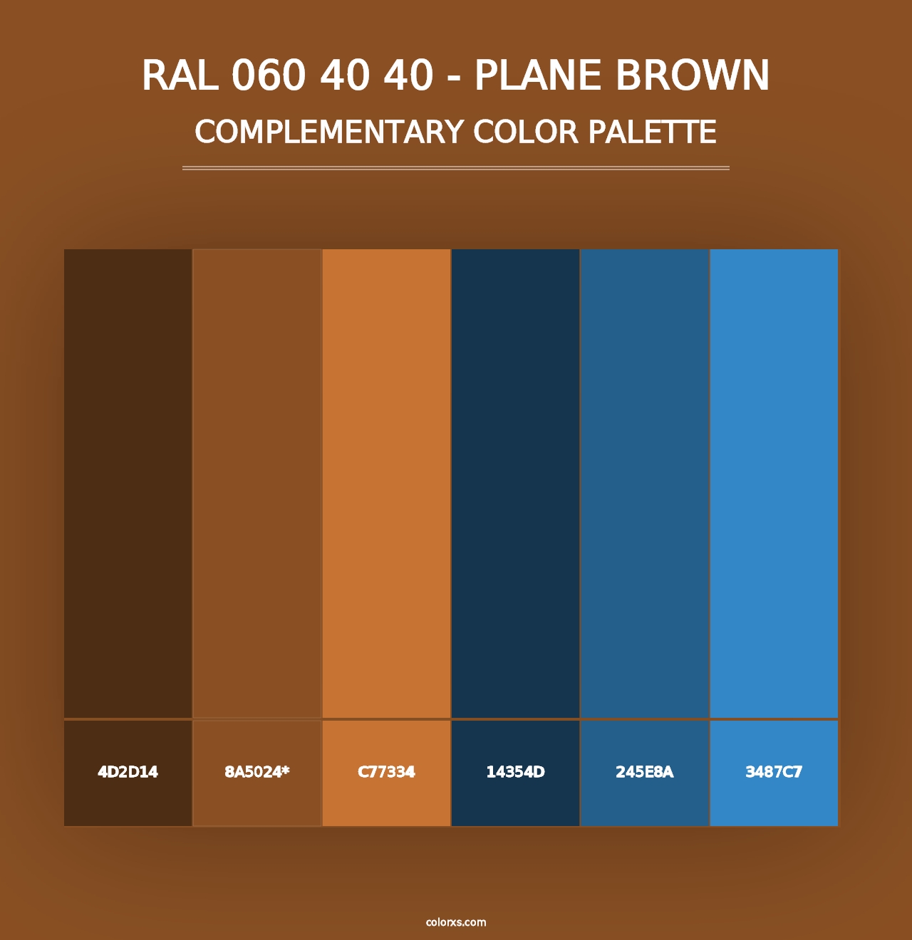 RAL 060 40 40 - Plane Brown - Complementary Color Palette