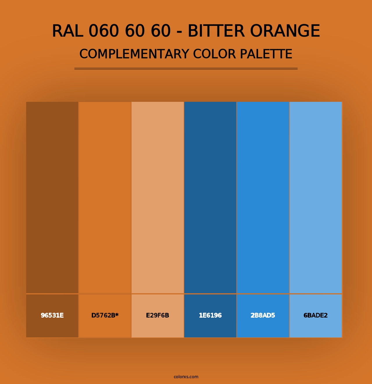 RAL 060 60 60 - Bitter Orange - Complementary Color Palette