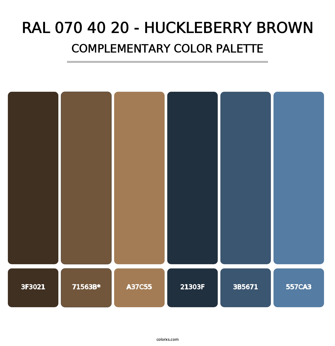 RAL 070 40 20 - Huckleberry Brown - Complementary Color Palette