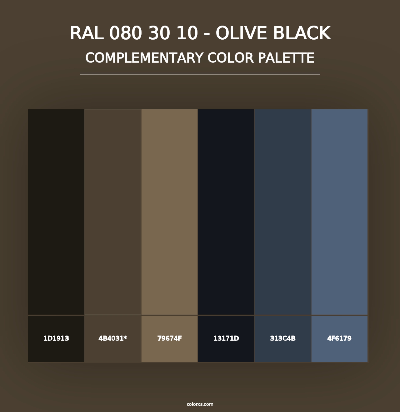 RAL 080 30 10 - Olive Black - Complementary Color Palette