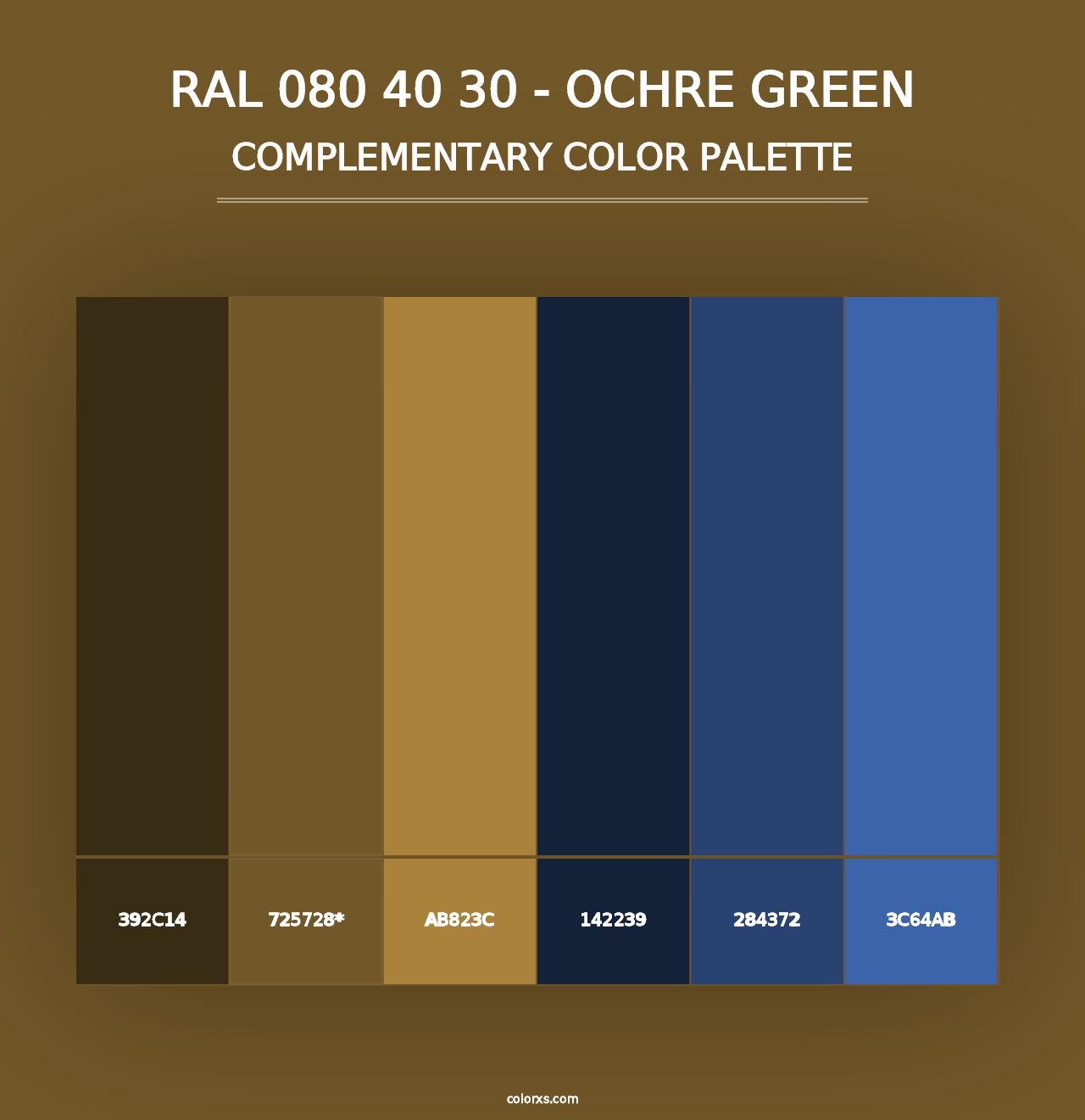 RAL 080 40 30 - Ochre Green - Complementary Color Palette