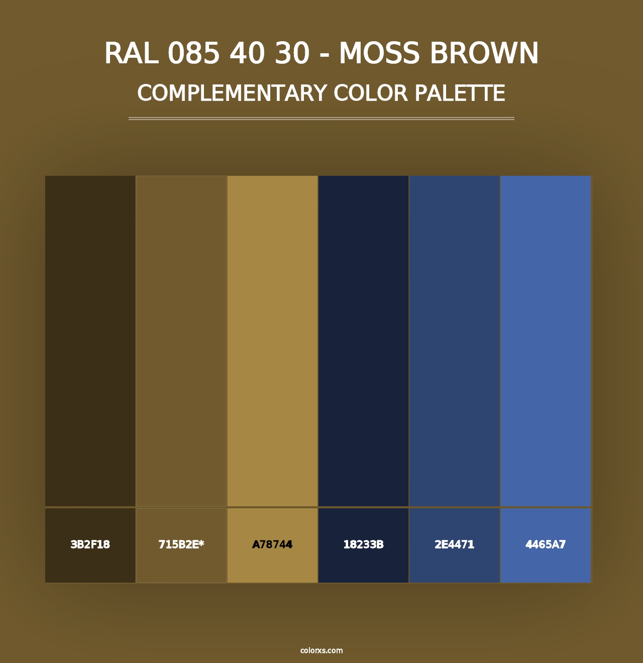 RAL 085 40 30 - Moss Brown - Complementary Color Palette