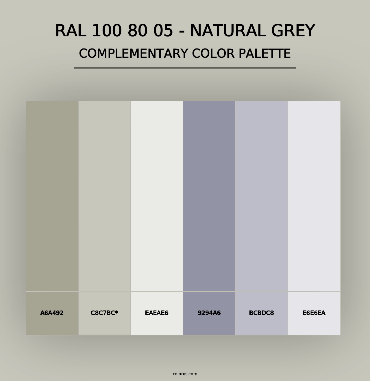 RAL 100 80 05 - Natural Grey - Complementary Color Palette