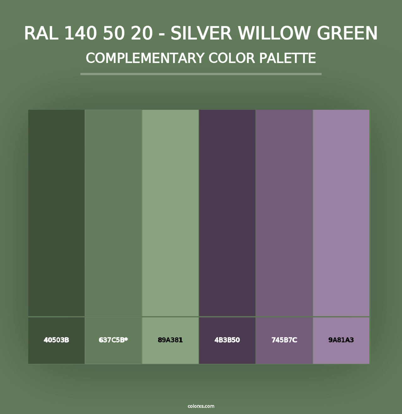 RAL 140 50 20 - Silver Willow Green - Complementary Color Palette