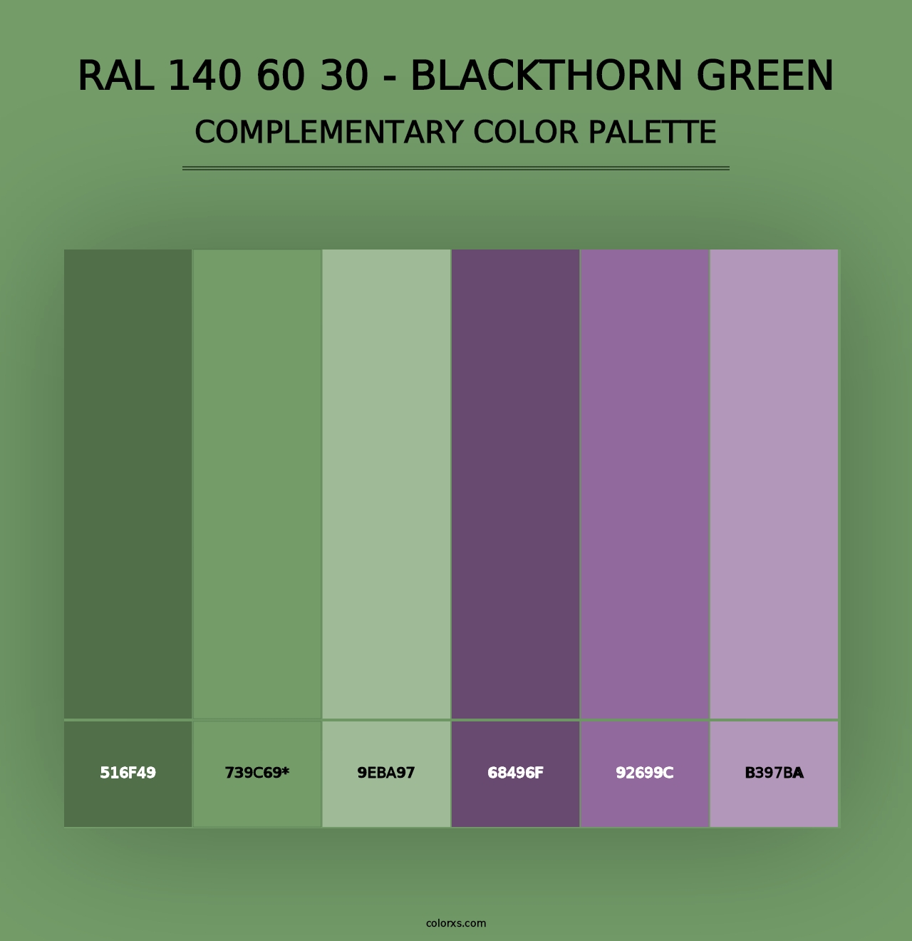 RAL 140 60 30 - Blackthorn Green - Complementary Color Palette